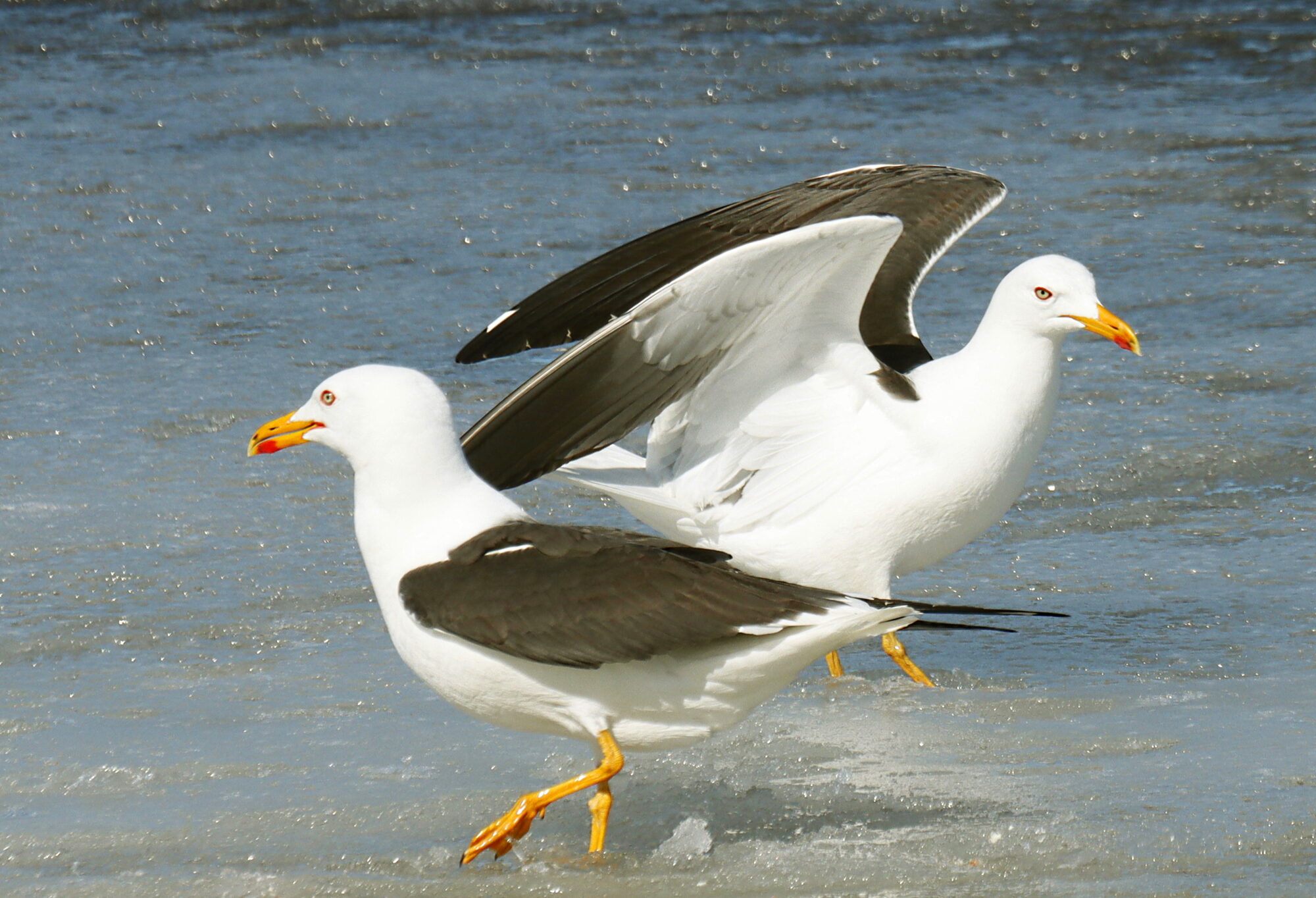 Valokuvaaja: Ritva Nieminen