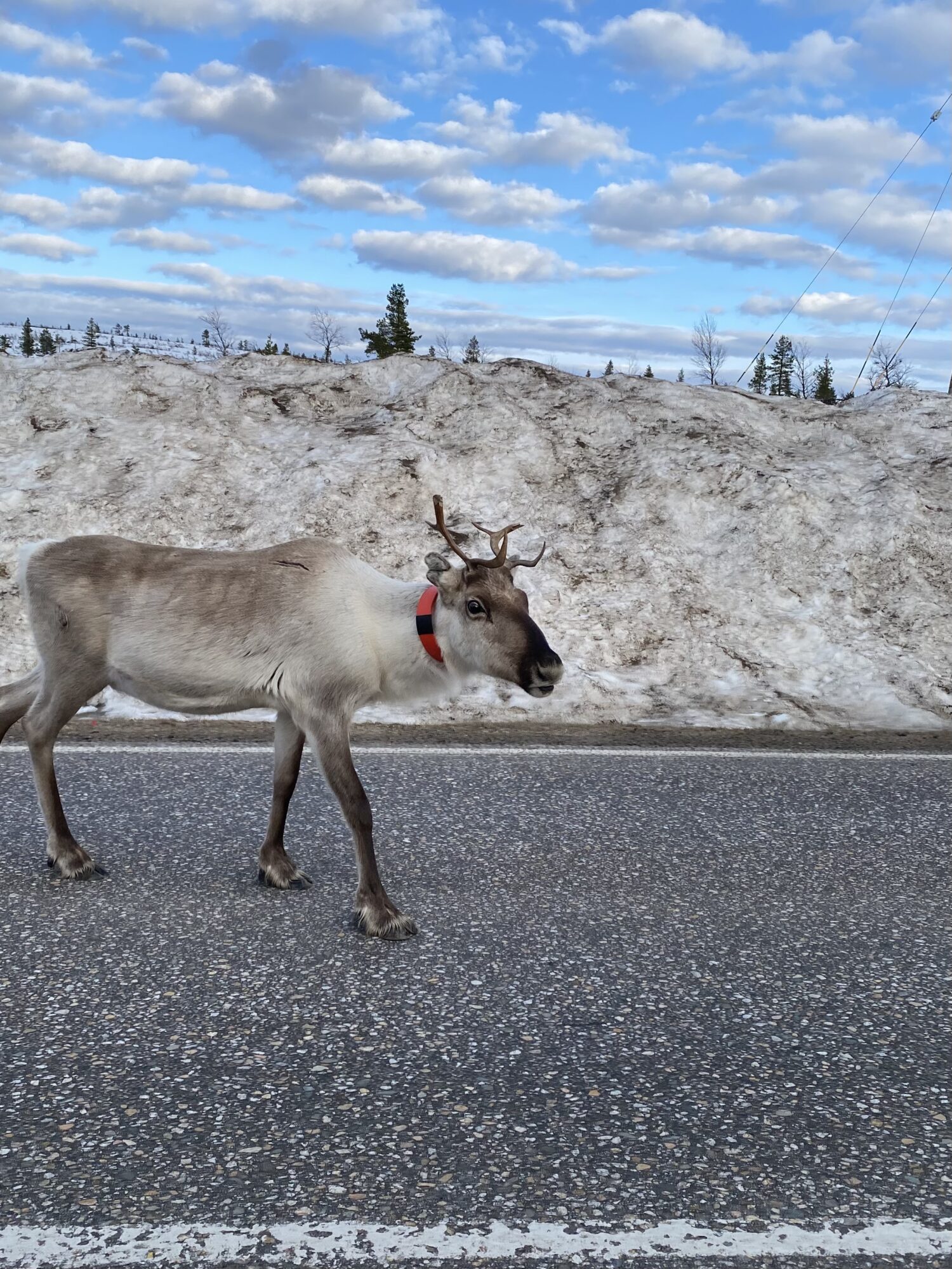 Valokuvaaja: Markku Ranta-Eilola Valokuvaaja: Markku Ranta-Eilola