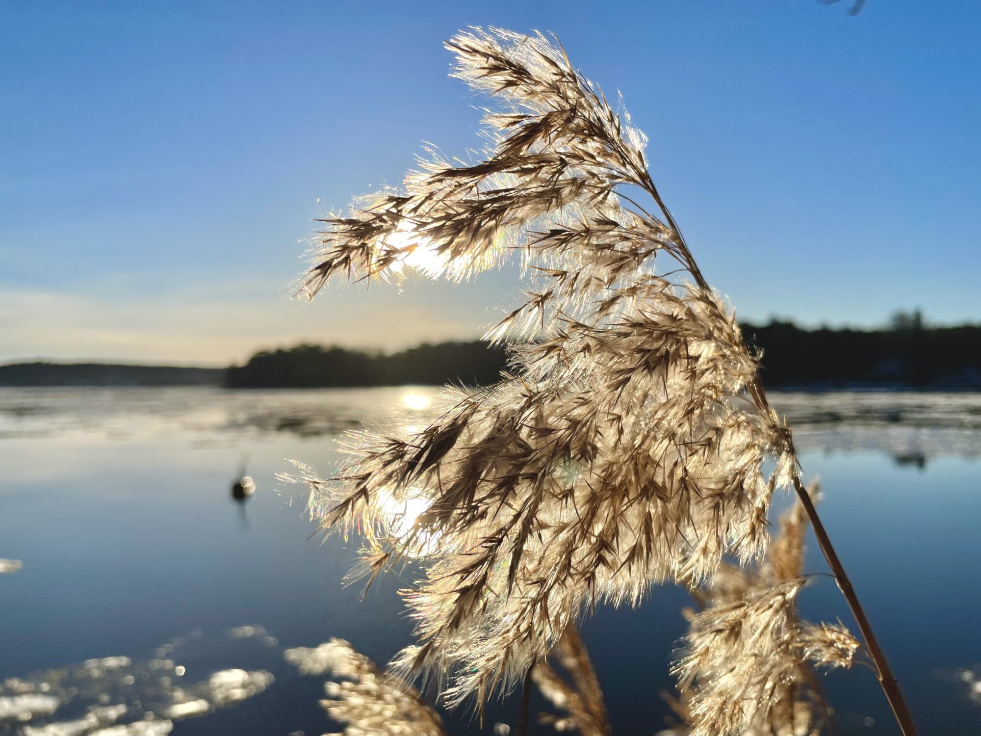 Valokuvaaja: Juhani Peltonen
