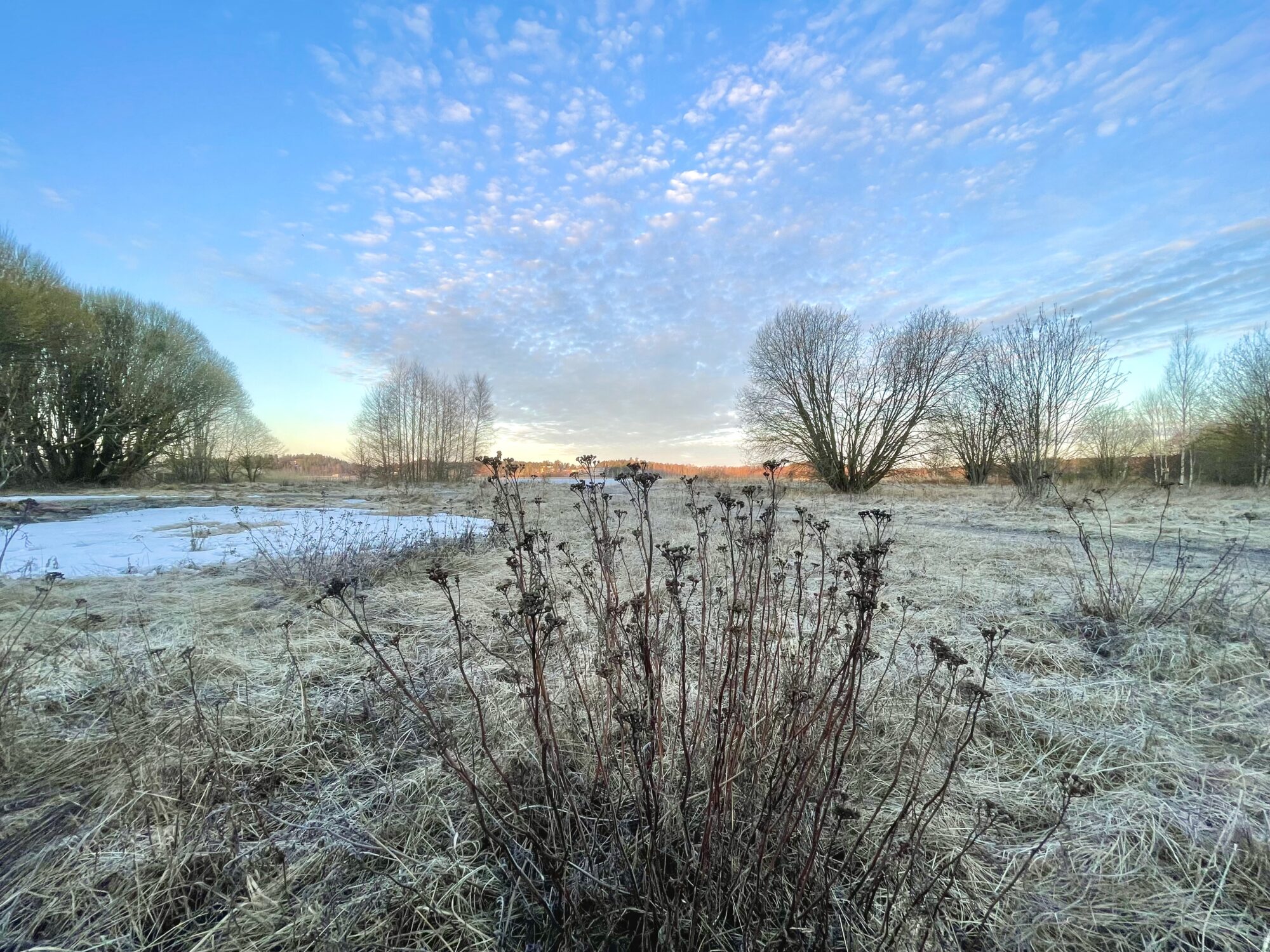 Valokuvaaja: Juhani Peltonen