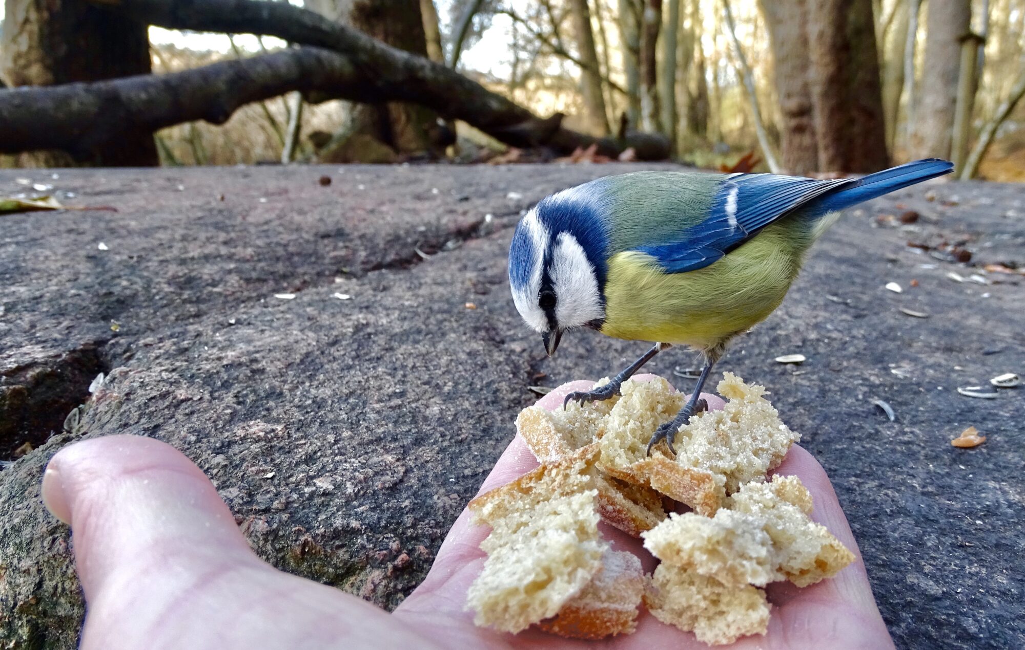 Valokuvaaja: Juhani Peltonen