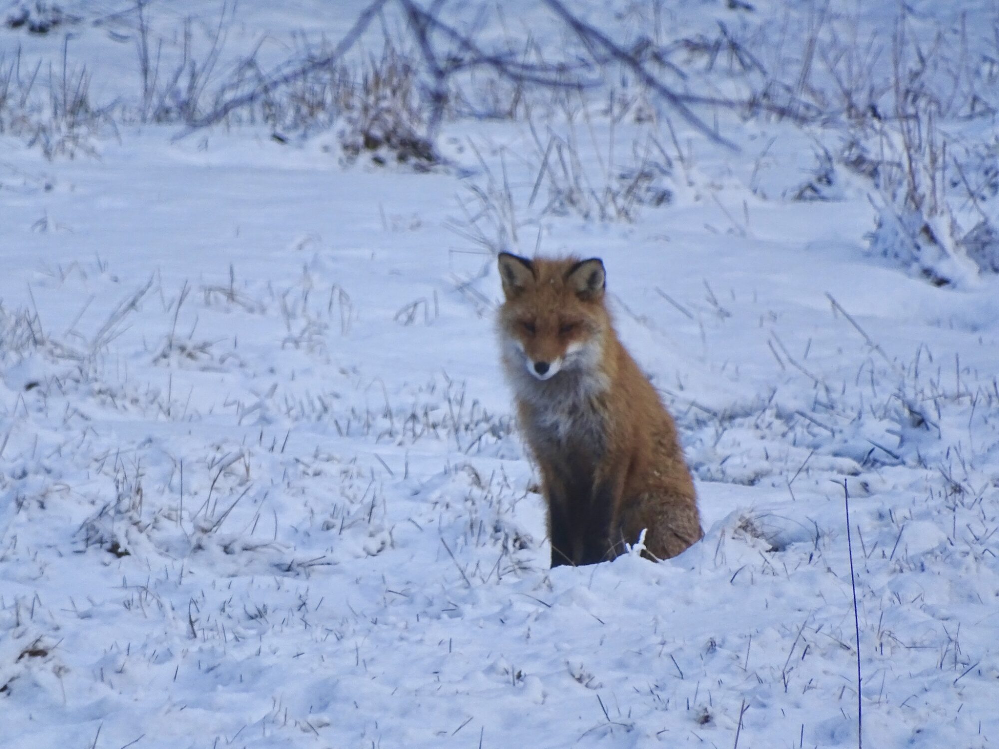 Valokuvaaja: Juhani Peltonen