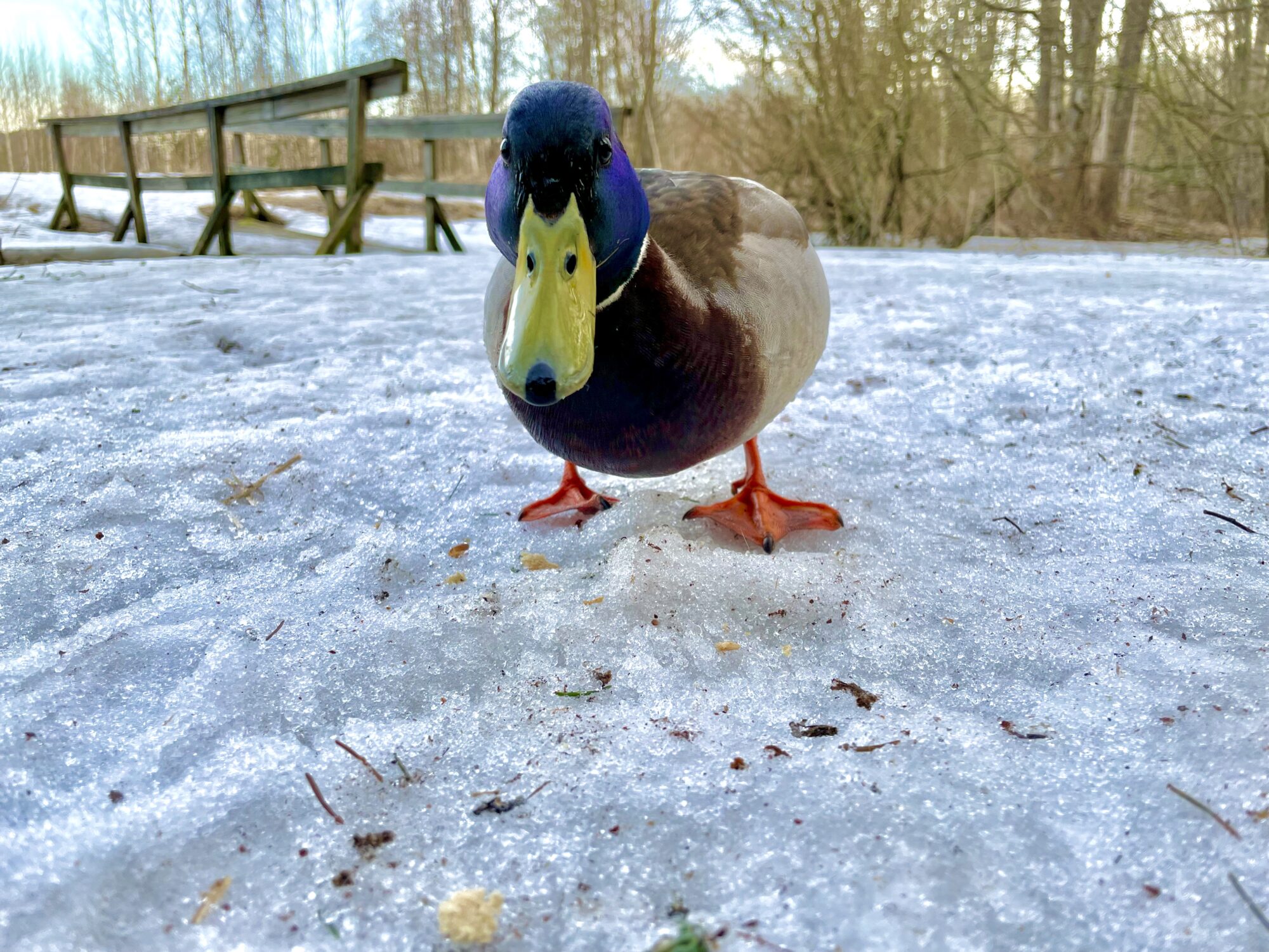 Valokuvaaja: juhani Peltonen