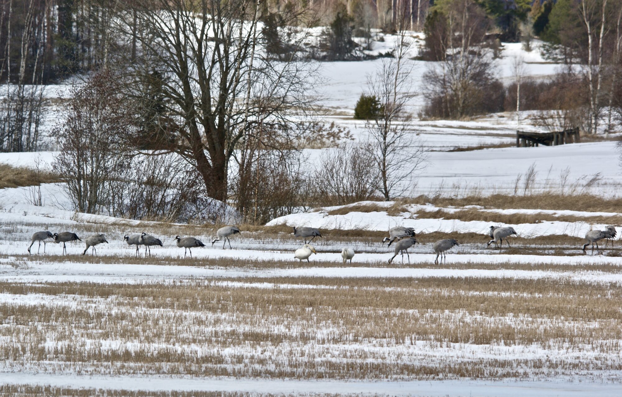 Valokuvaaja: Markku Ranta-Eilola Valokuvaaja: Markku Ranta-Eilola