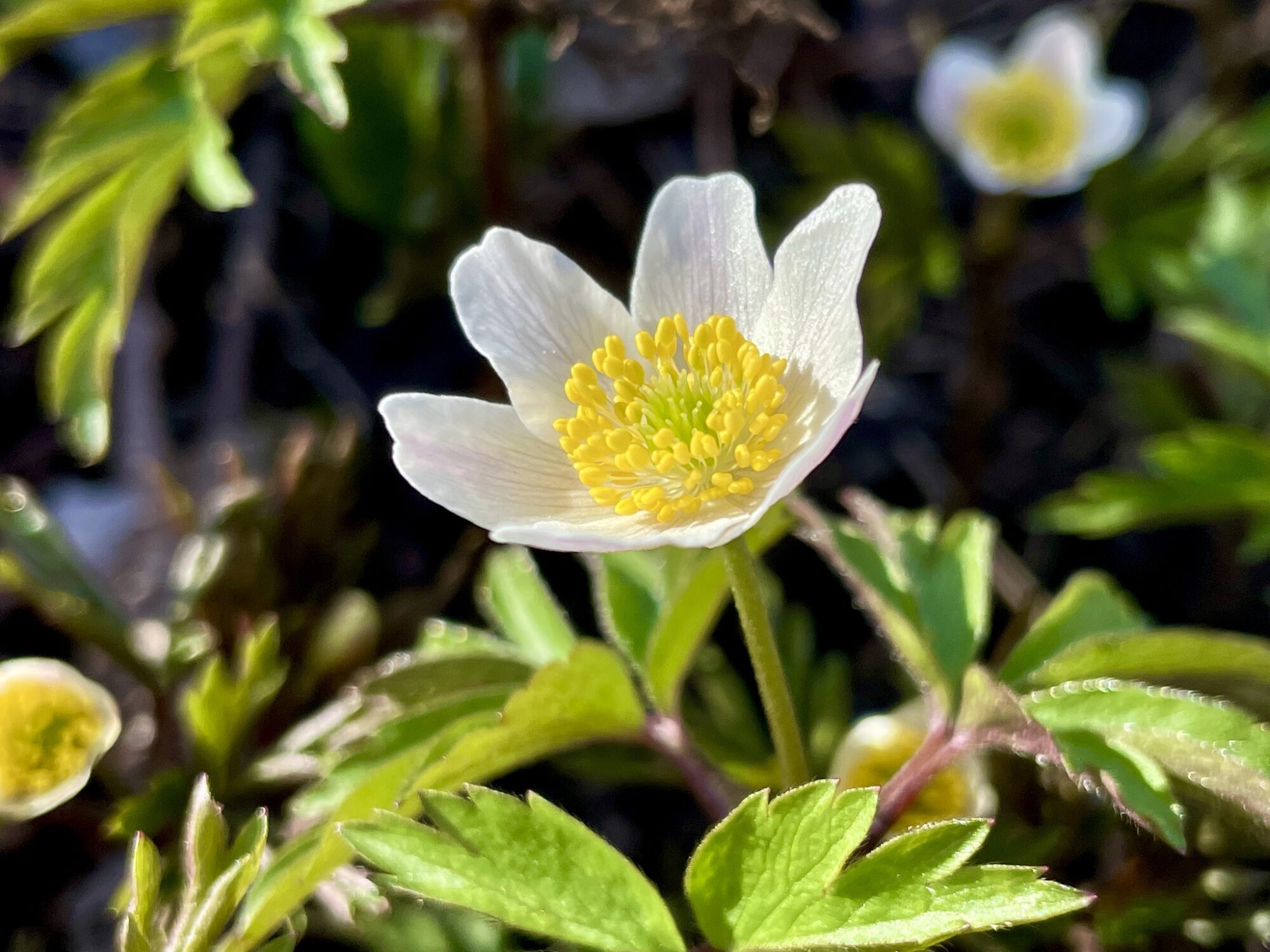Valokuvaaja: Juhani Peltonen