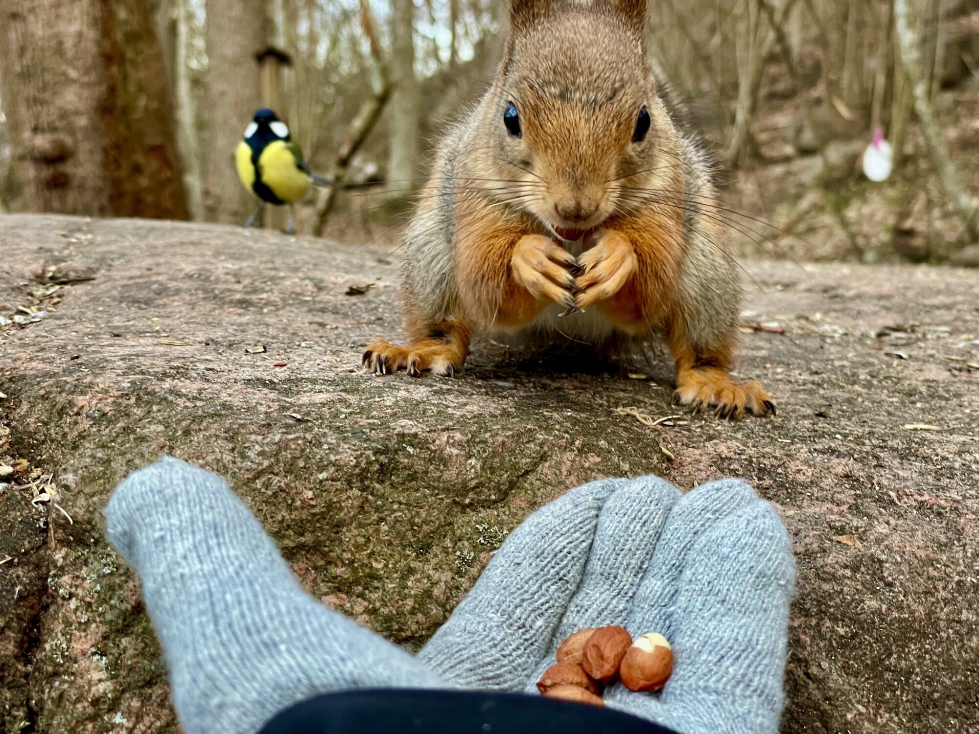 Valokuvaaja: Juhani Peltonen