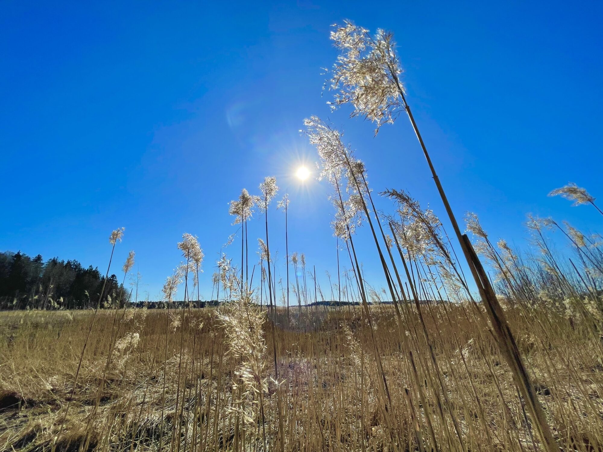 Valokuvaaja: Juhani Peltonen