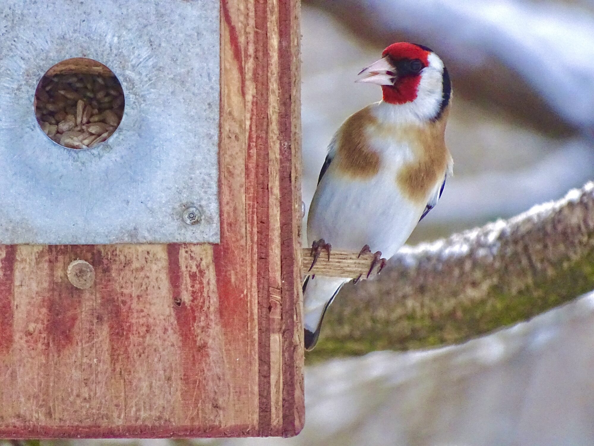 Valokuvaaja: Juhani Peltonen