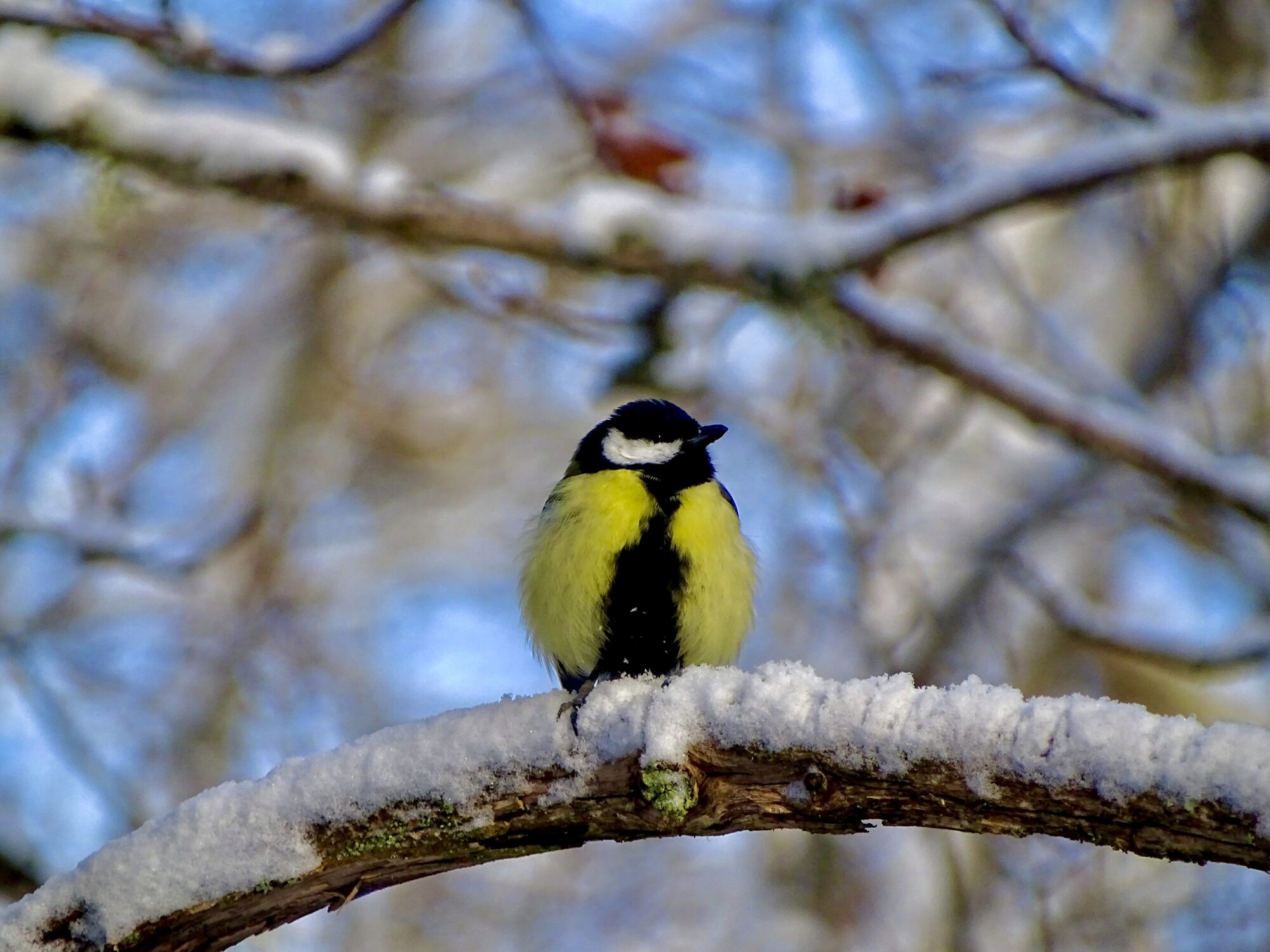Valokuvaaja: Juhani Peltonen