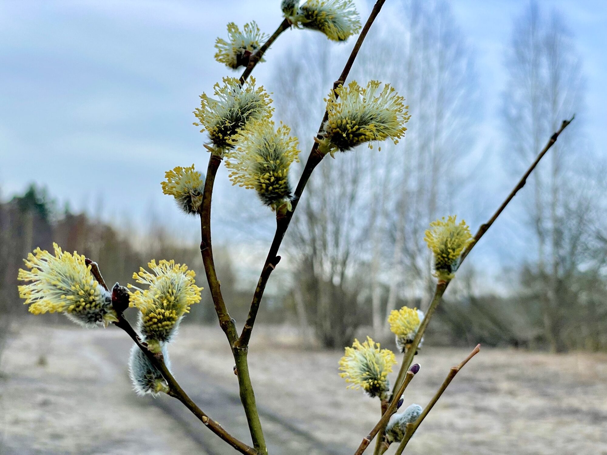 Valokuvaaja: Juhani Peltonen
