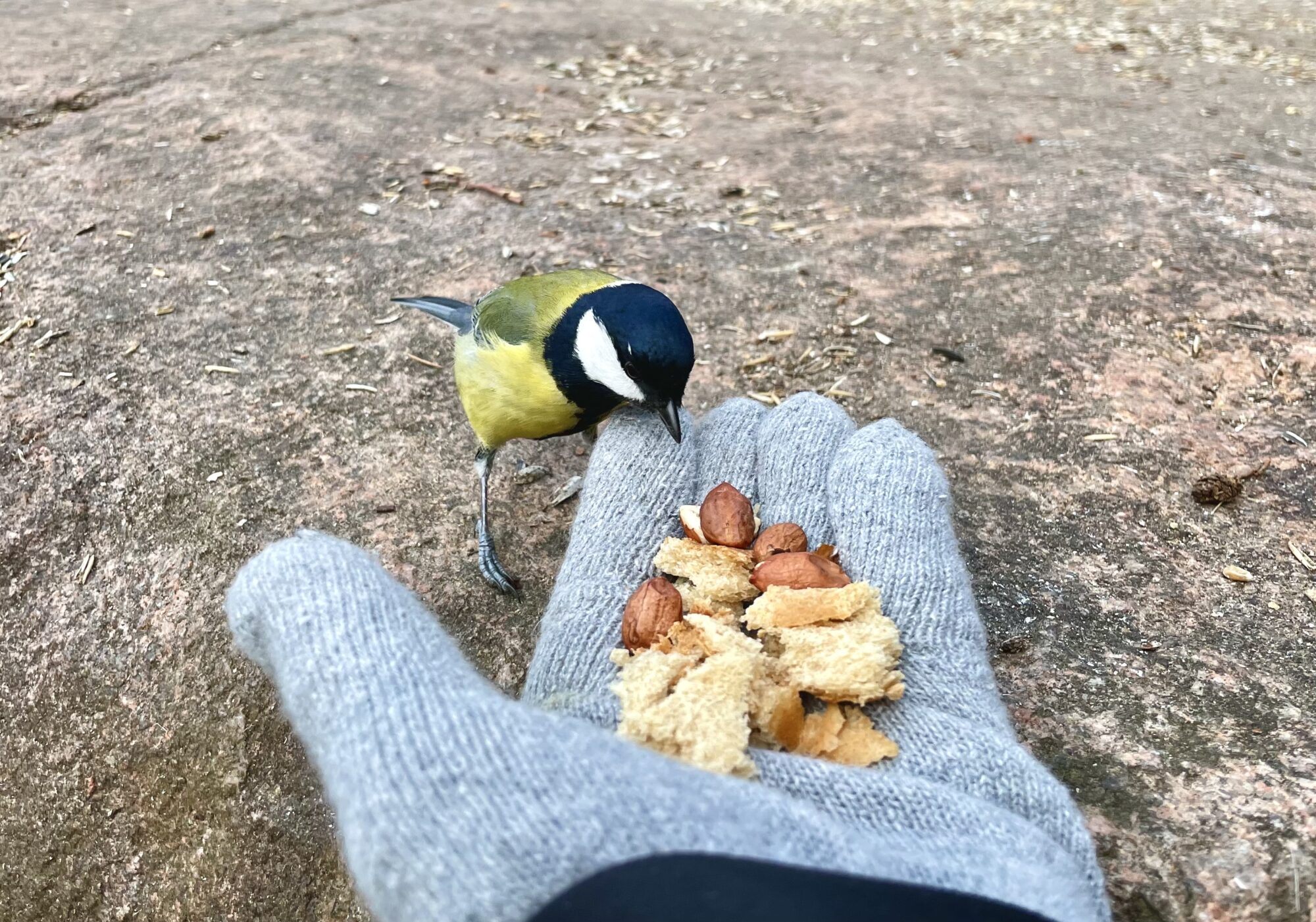 Valokuvaaja: Juhani Peltonen Valokuvaaja: Juhani Peltonen