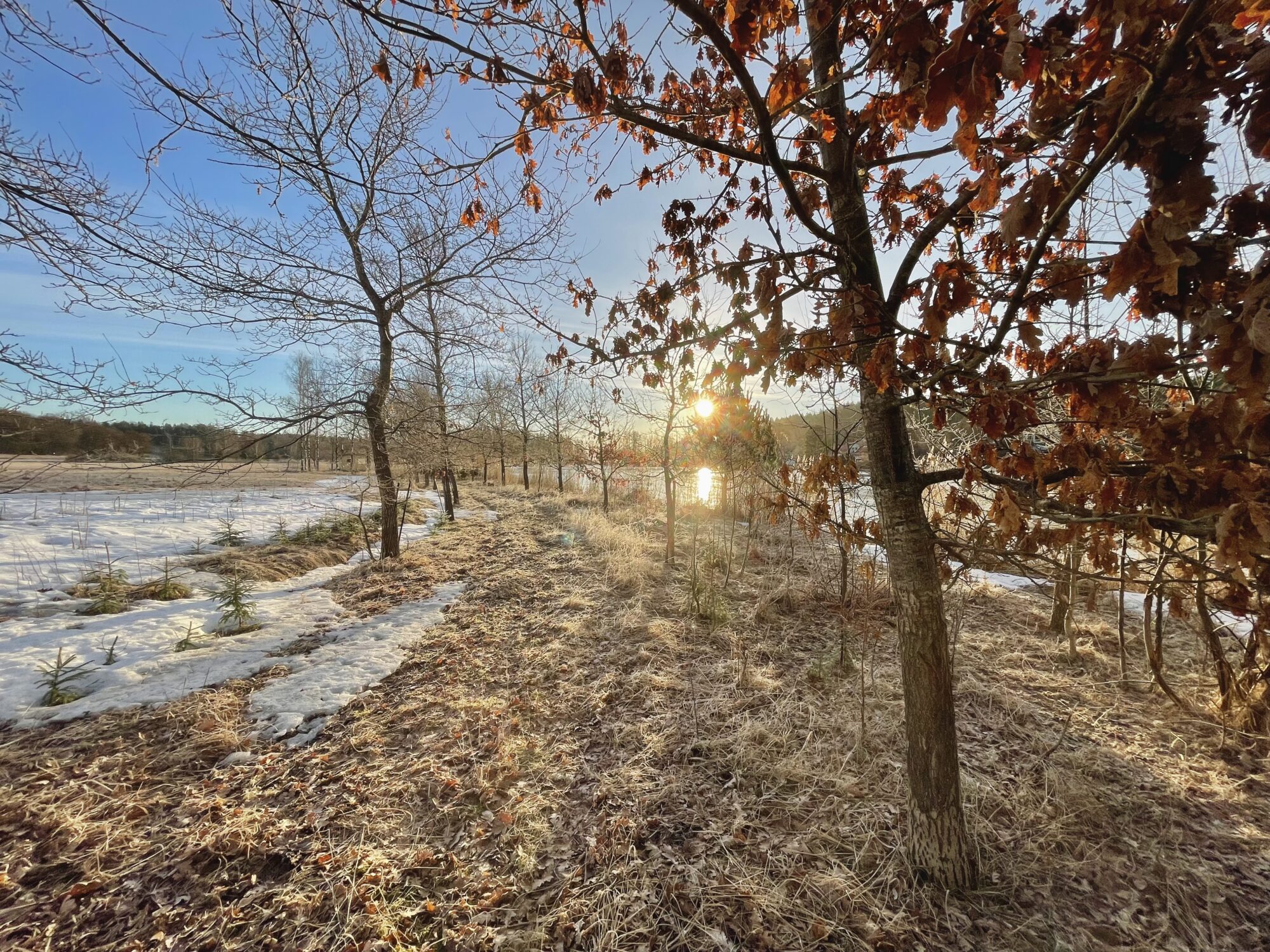 Valokuvaaja: Juhani Peltonen