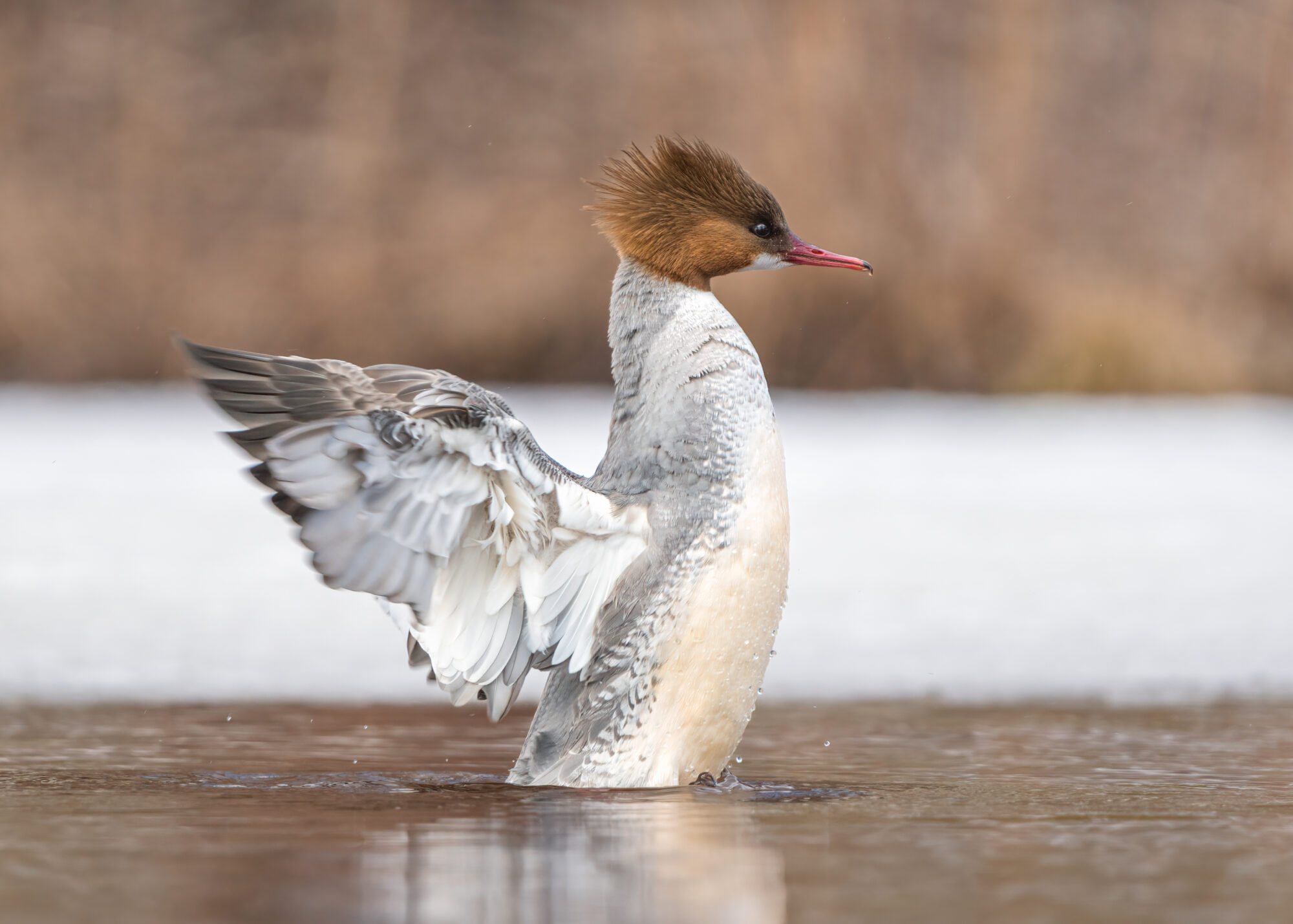 Valokuvaaja: Laura Lehtola