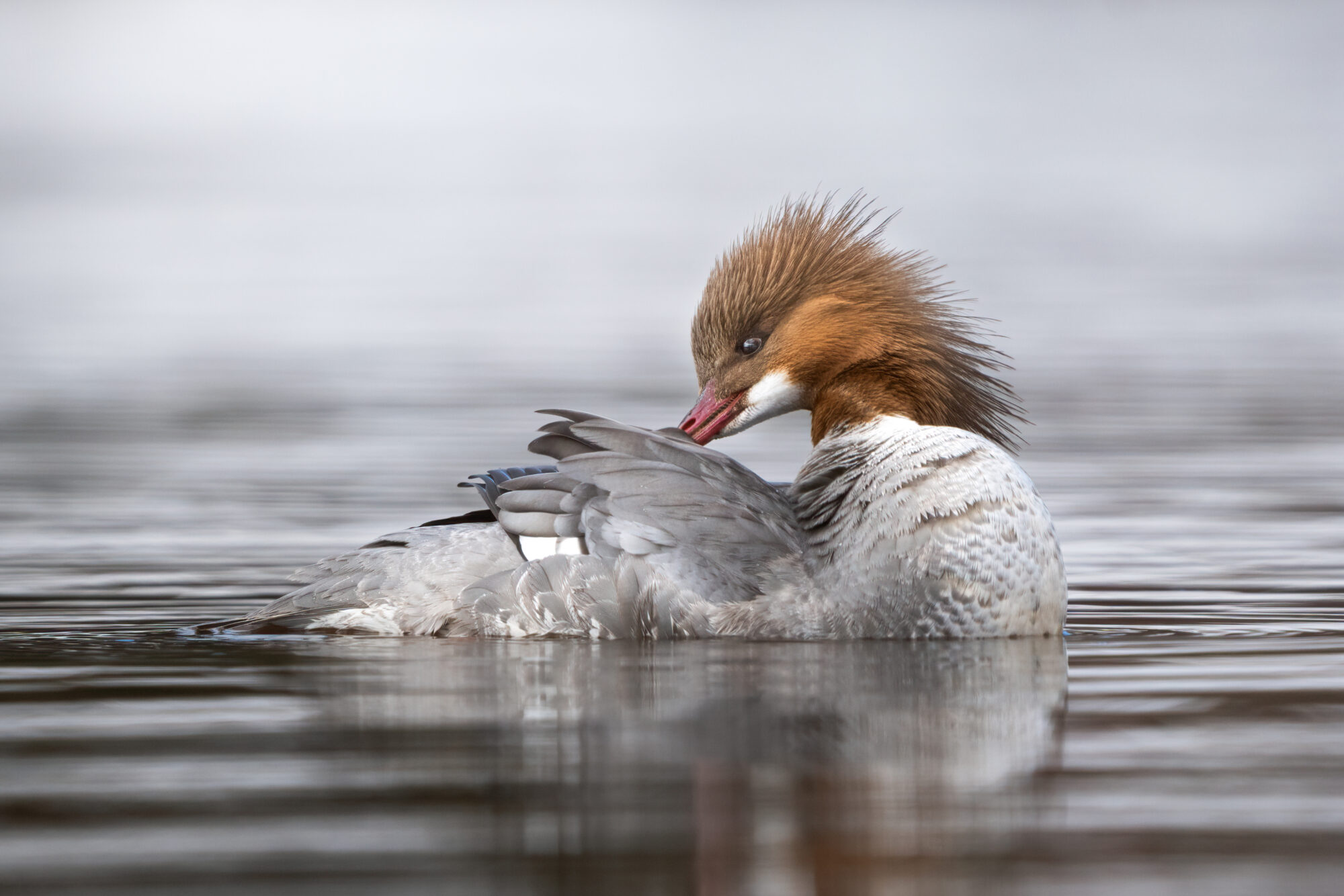 Valokuvaaja: Laura Lehtola