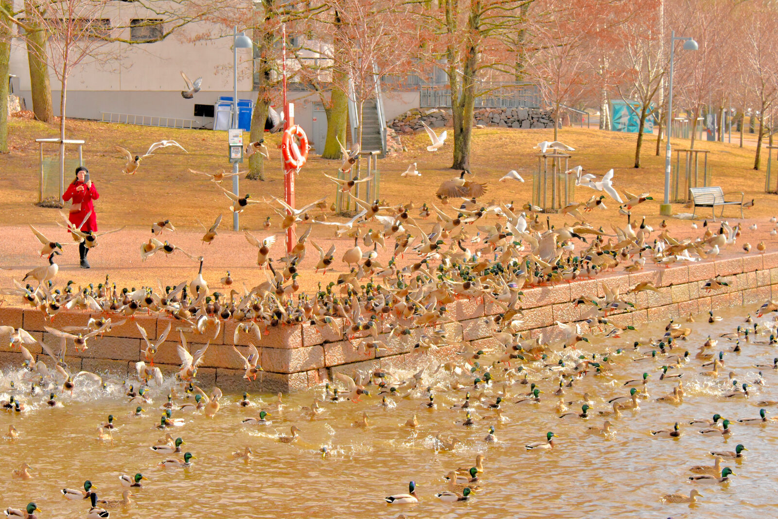 Valokuvaaja: Reijo Juurinen