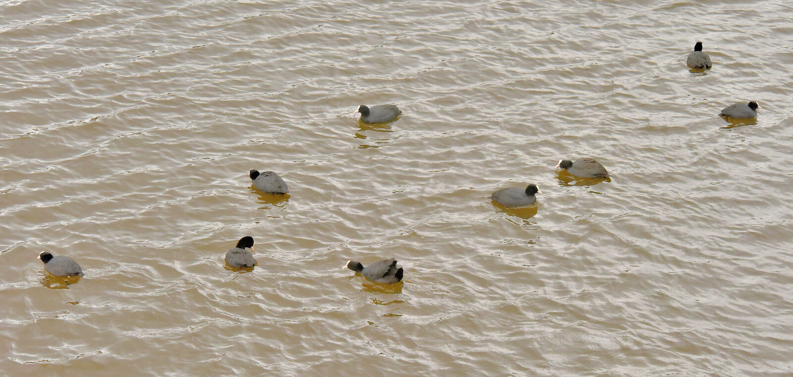Valokuvaaja: Reijo Juurinen Valokuvaaja: Reijo Juurinen