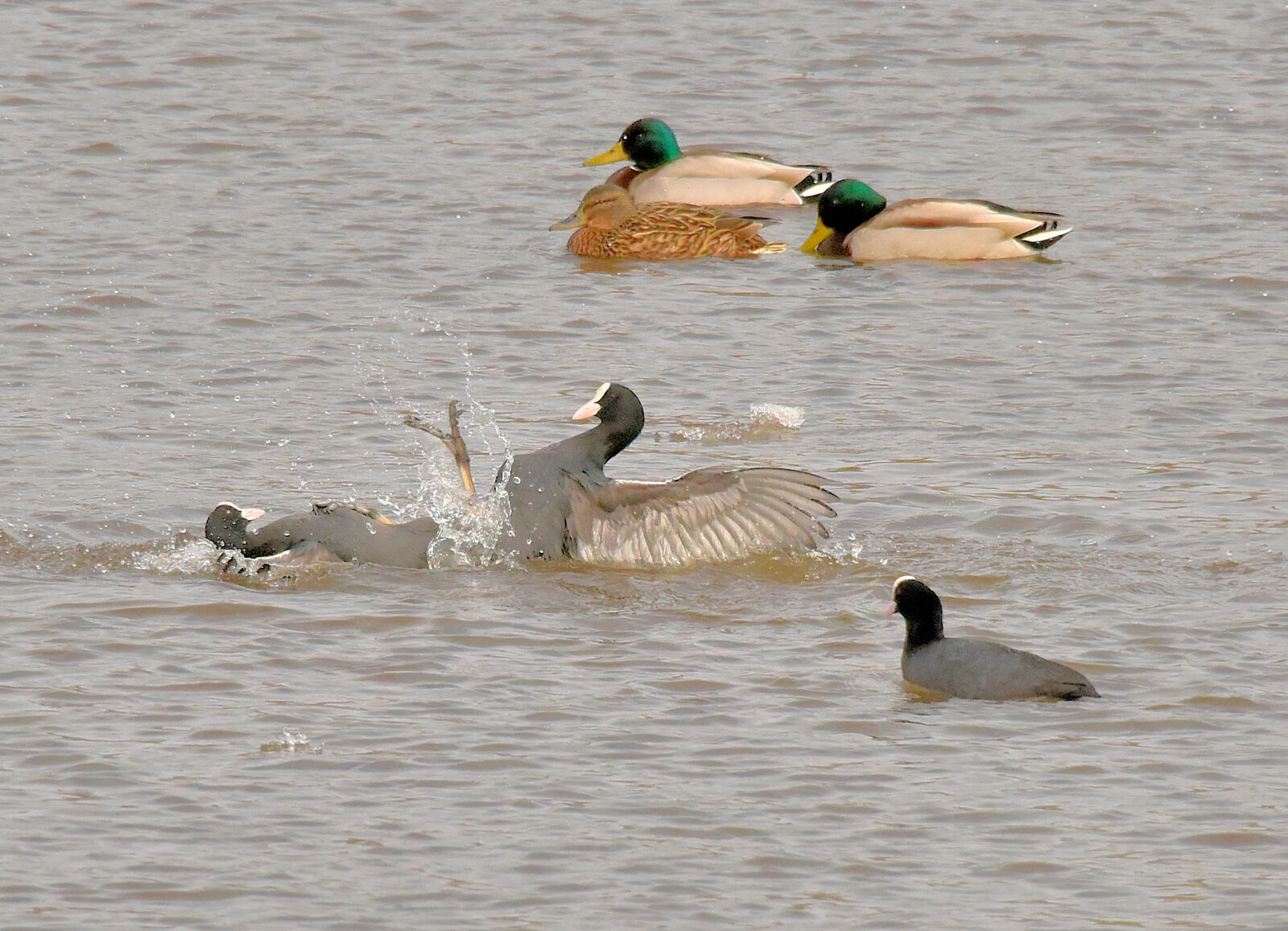 Valokuvaaja: Reijo Juurinen