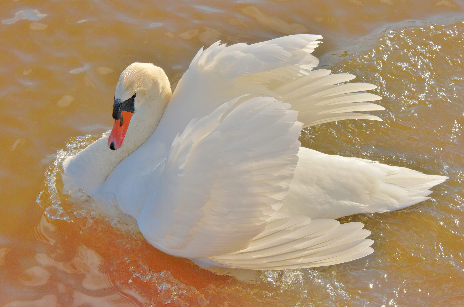 Valokuvaaja: Reijo Juurinen