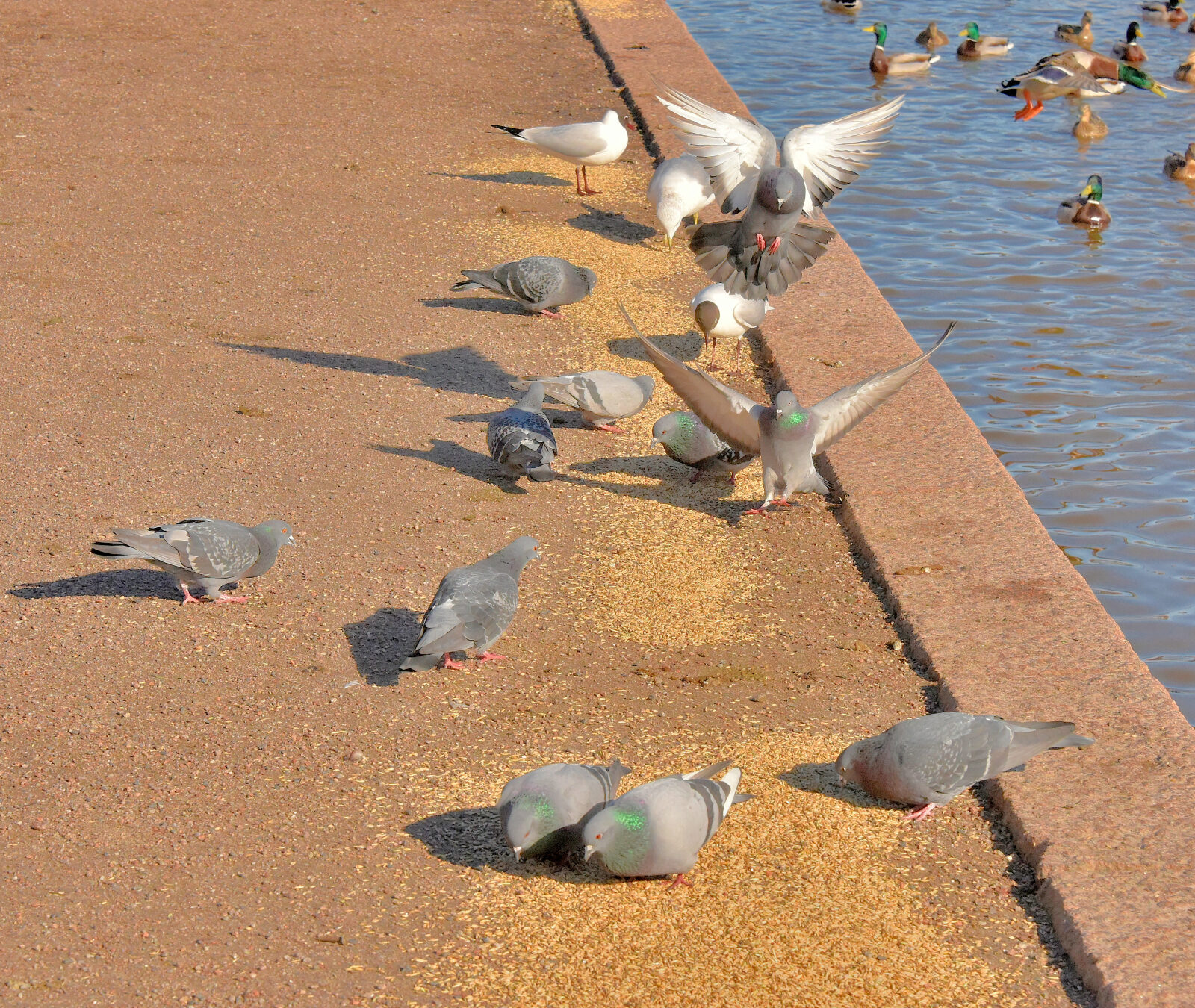 Valokuvaaja: Reijo Juurinen