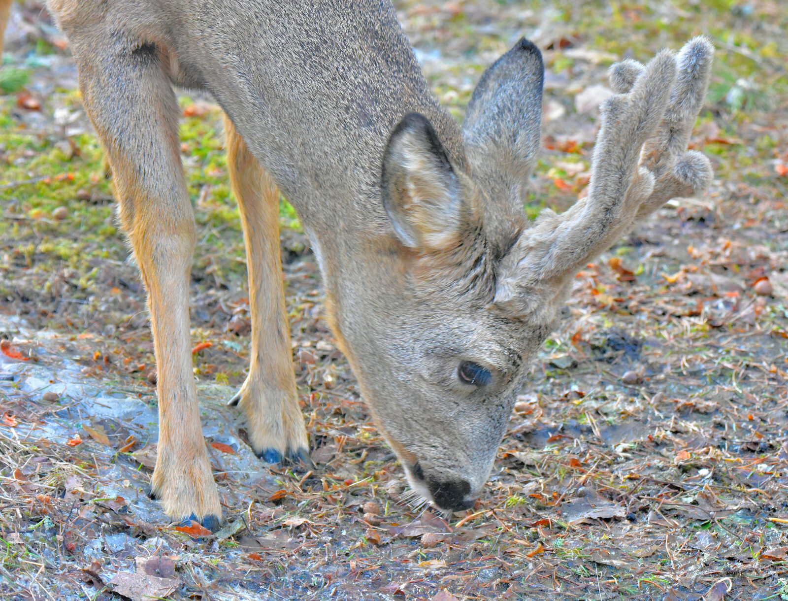 Valokuvaaja: Reijo Juurinen