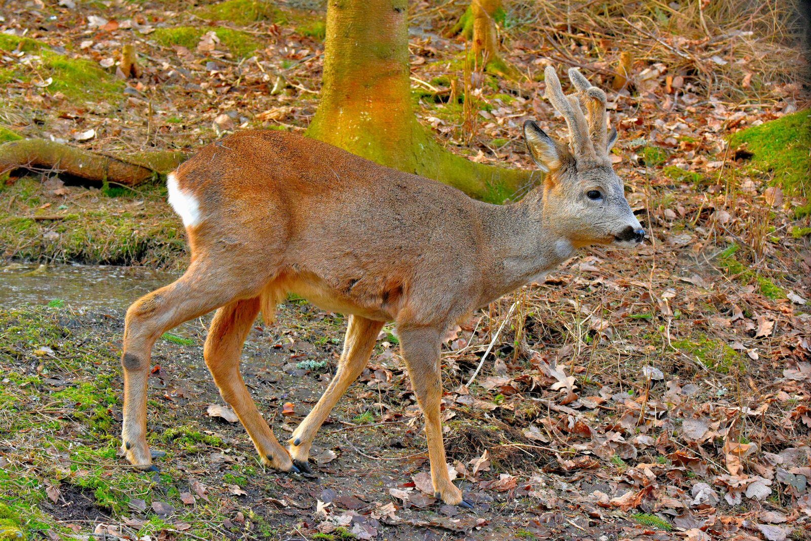 Valokuvaaja: Reijo Juurinen