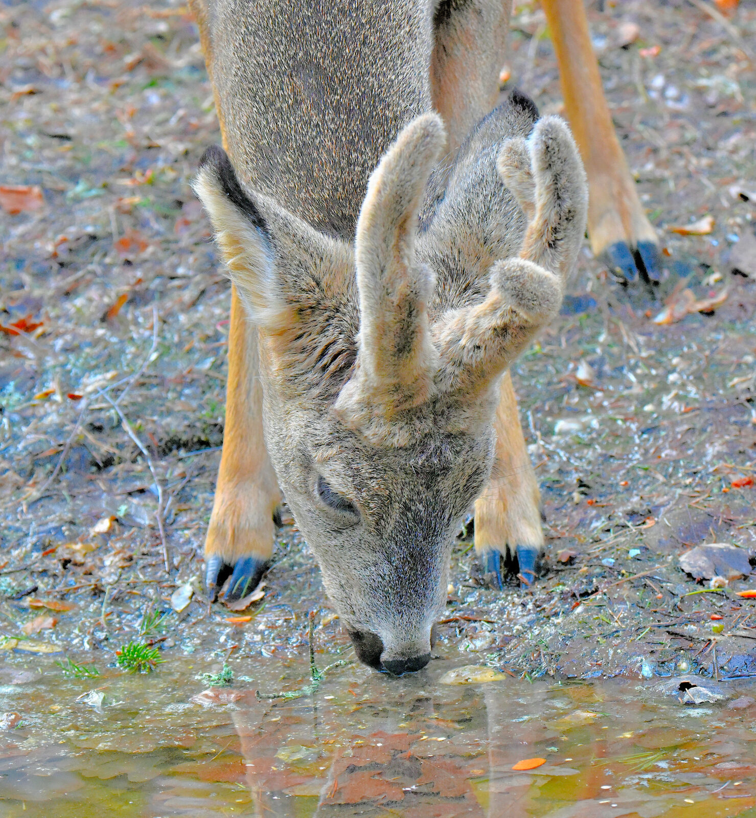 Valokuvaaja: Reijo Juurinen