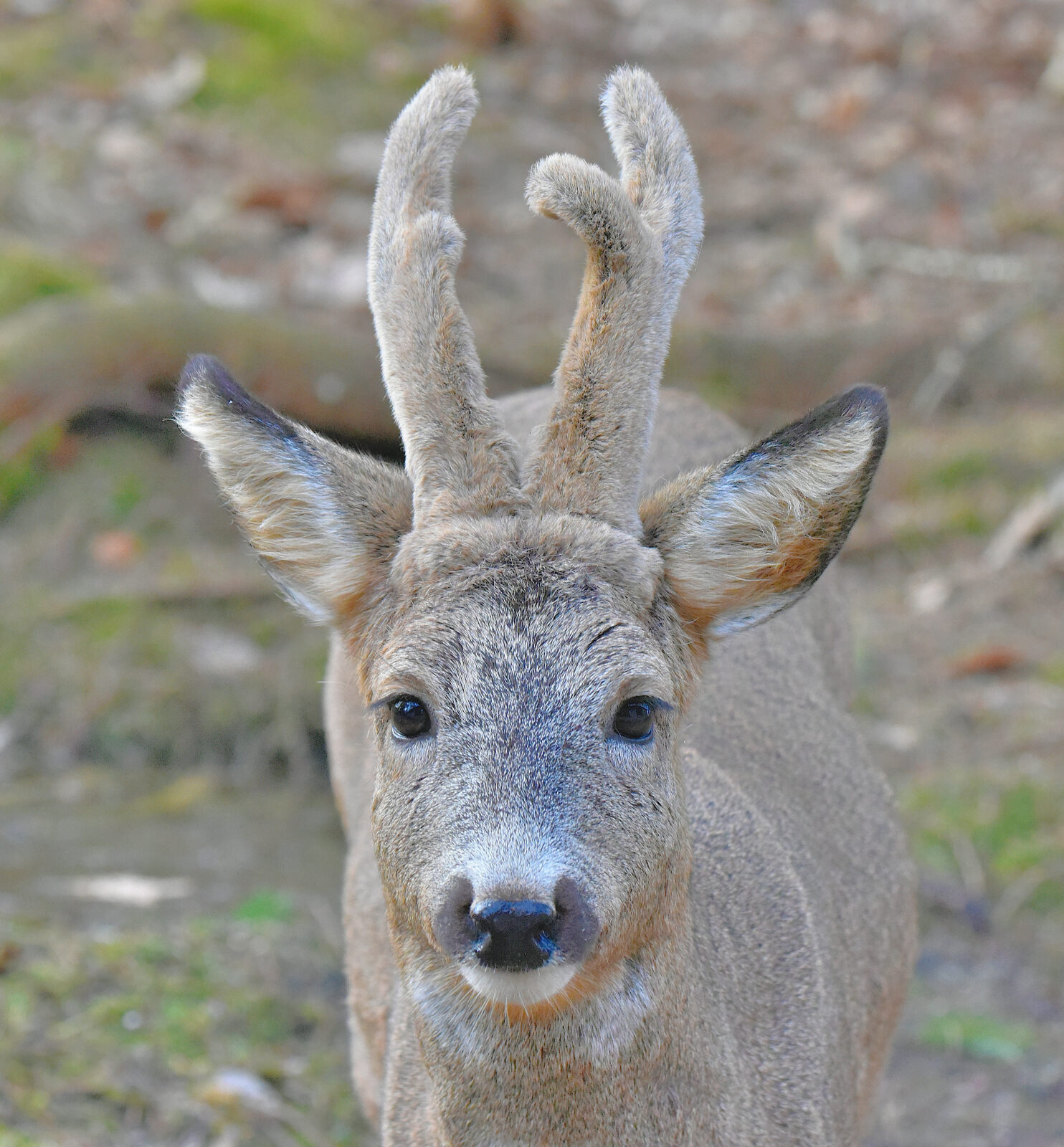 Valokuvaaja: Reijo Juurinen