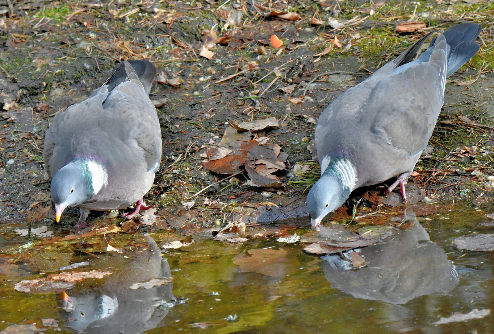 Valokuvaaja: Reijo Juurinen