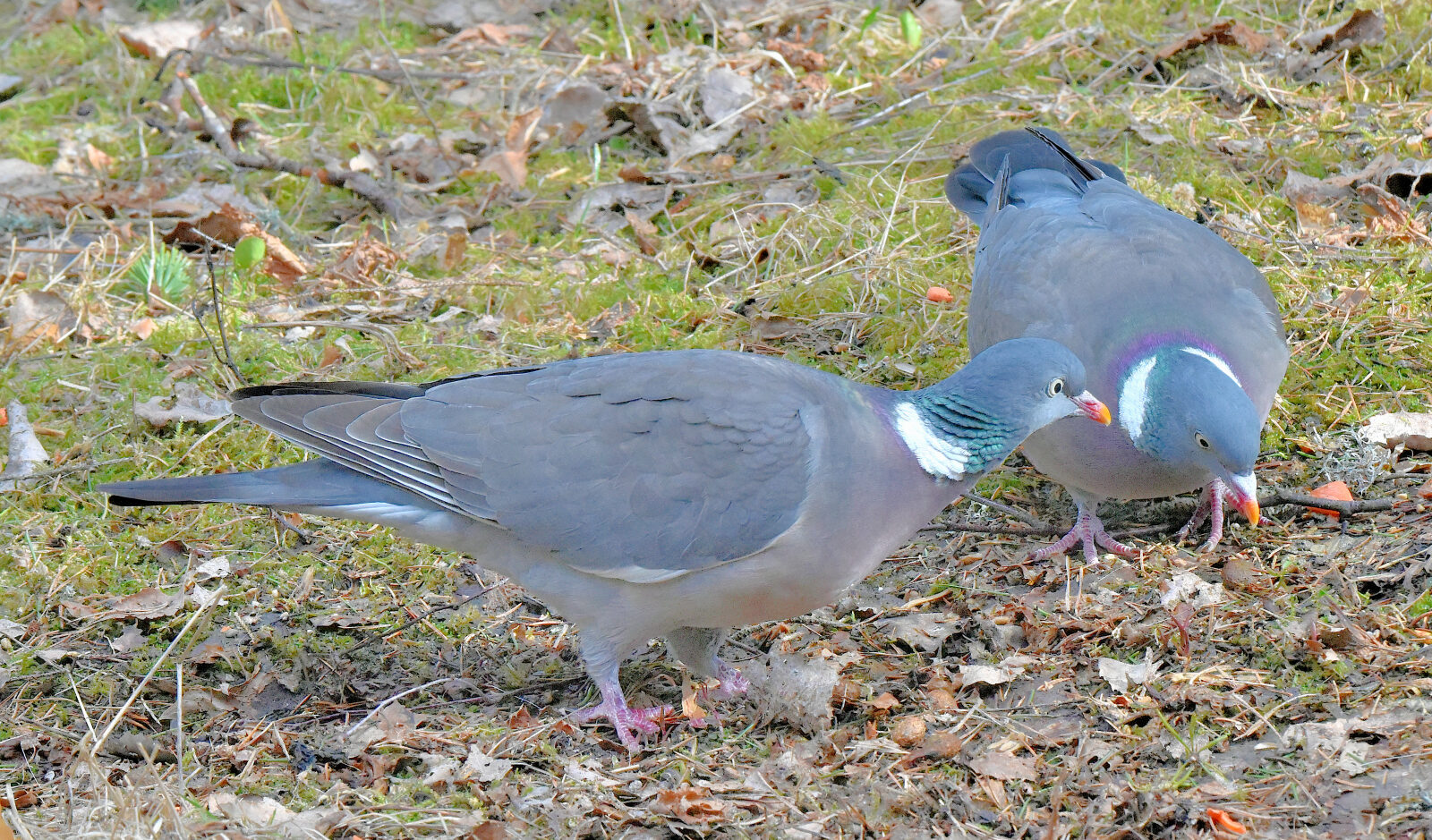 Valokuvaaja: Reijo Juurinen