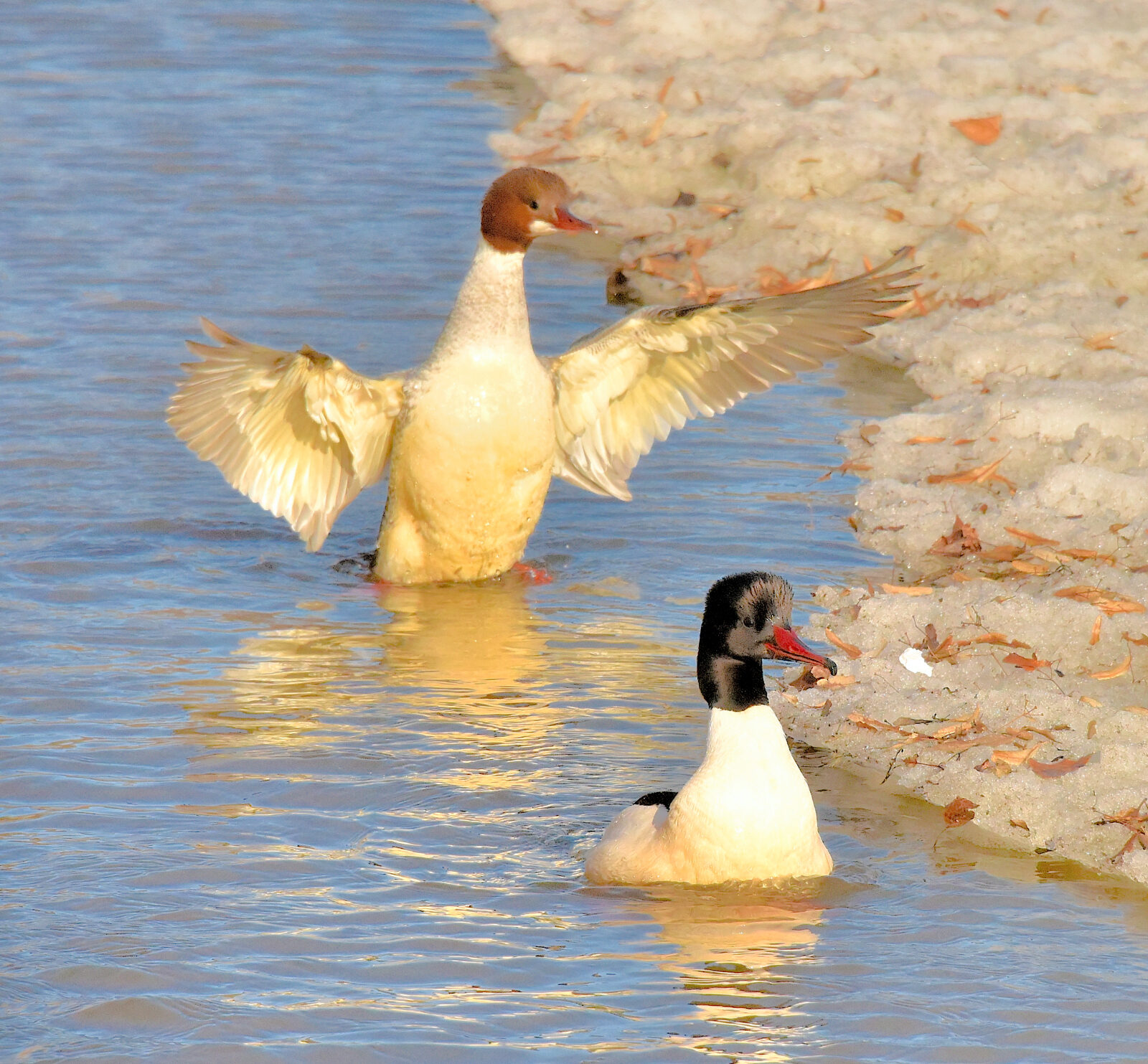 Valokuvaaja: Reijo Juurinen