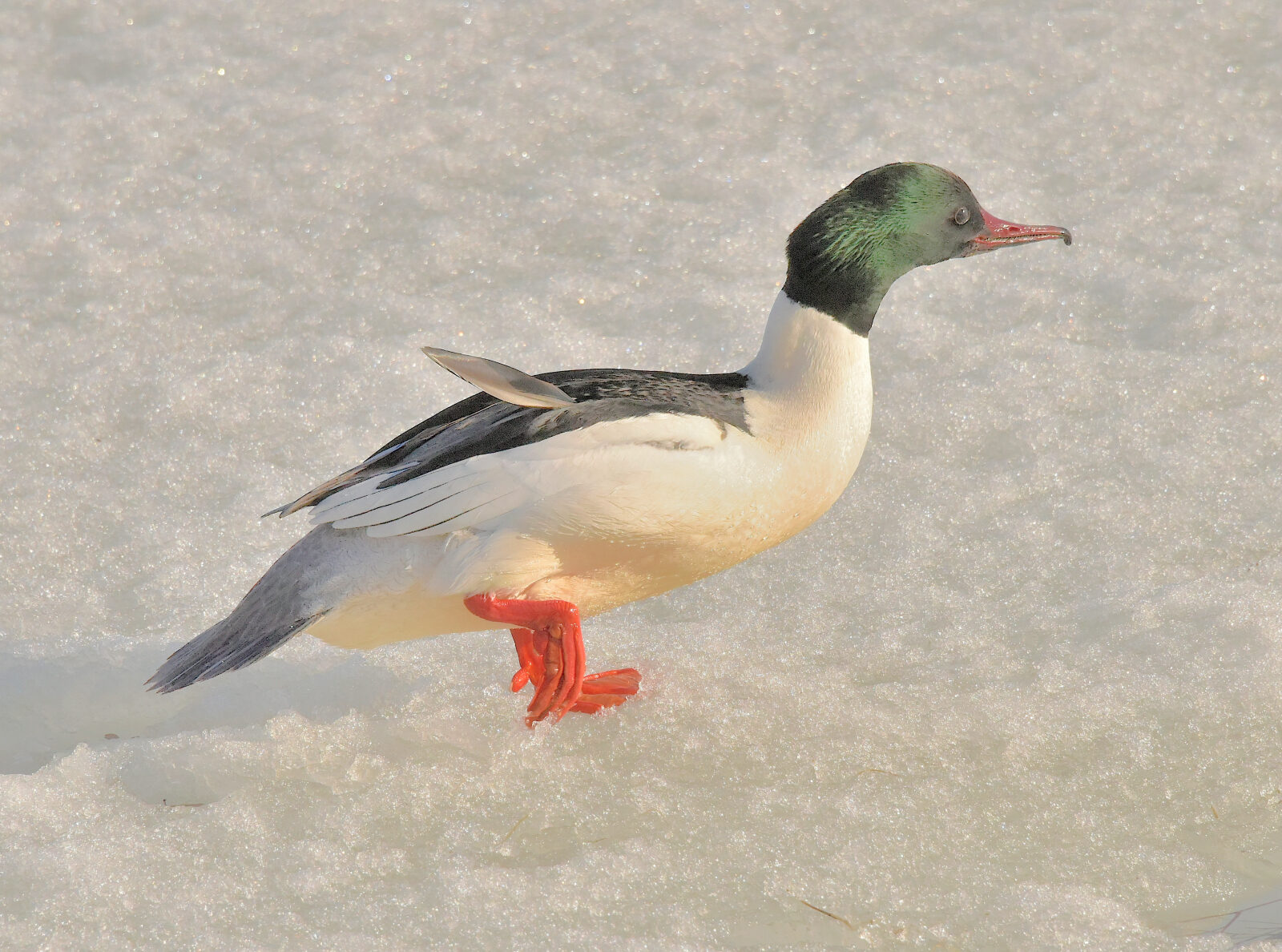 Valokuvaaja: Reijo Juurinen
