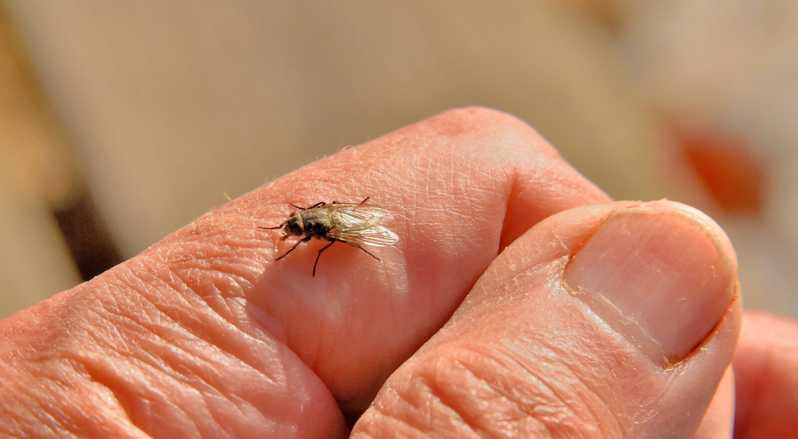 Valokuvaaja: Reijo Juurinen