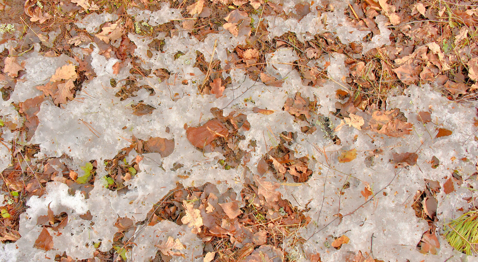 Valokuvaaja: Reijo Juurinen