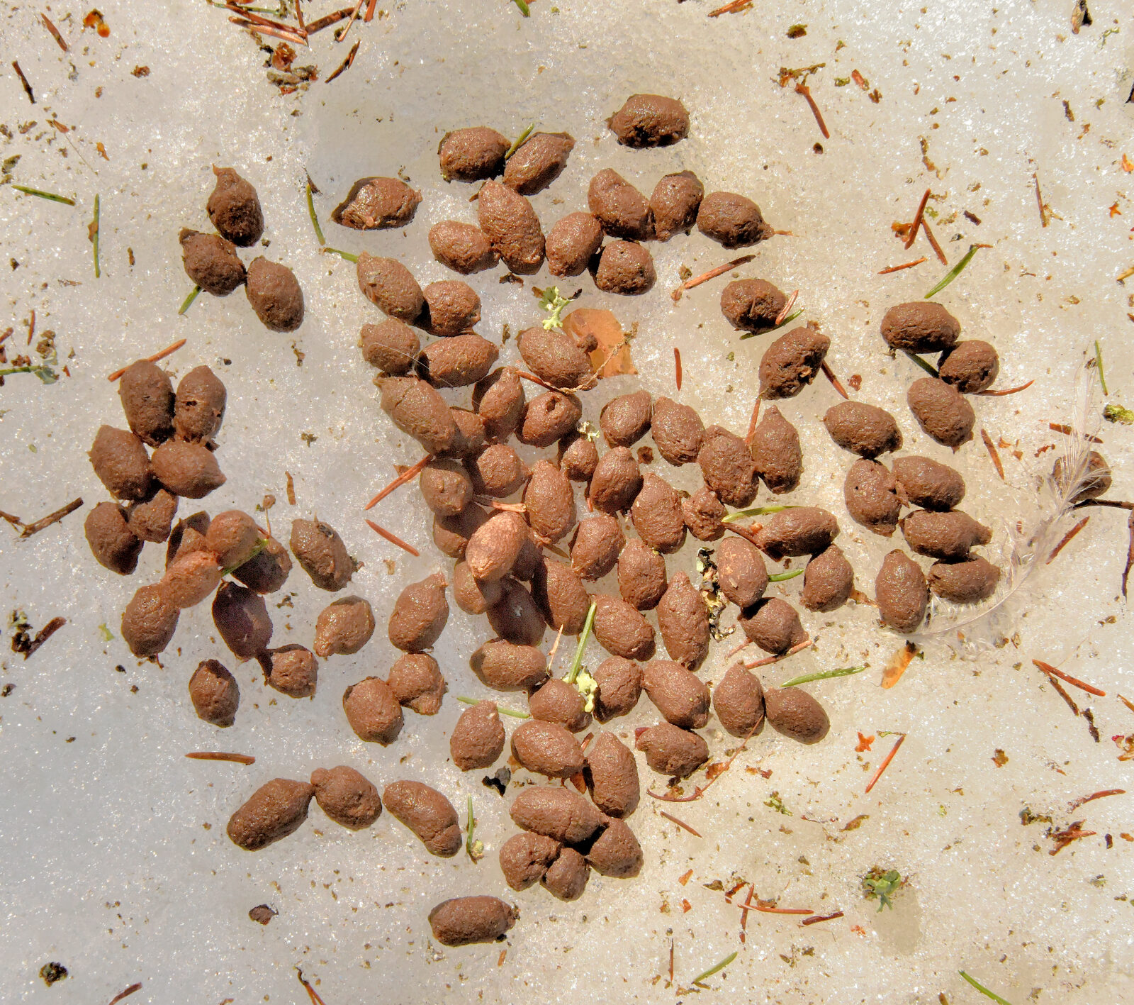 Valokuvaaja: Reijo Juurinen