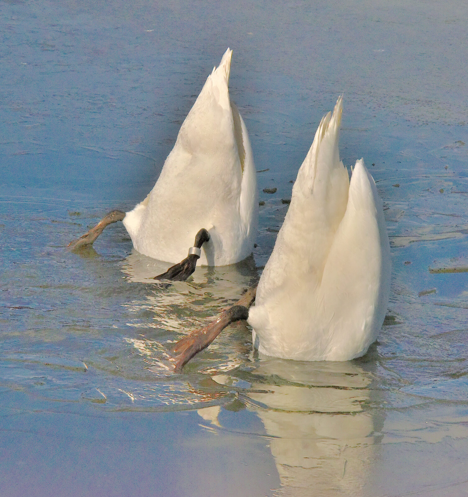 Valokuvaaja: Reijo Juurinen