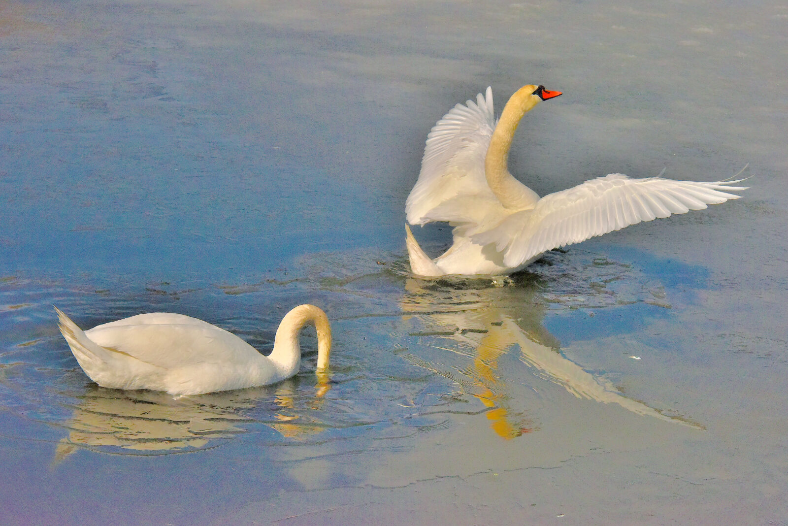 Valokuvaaja: Reijo Juurinen