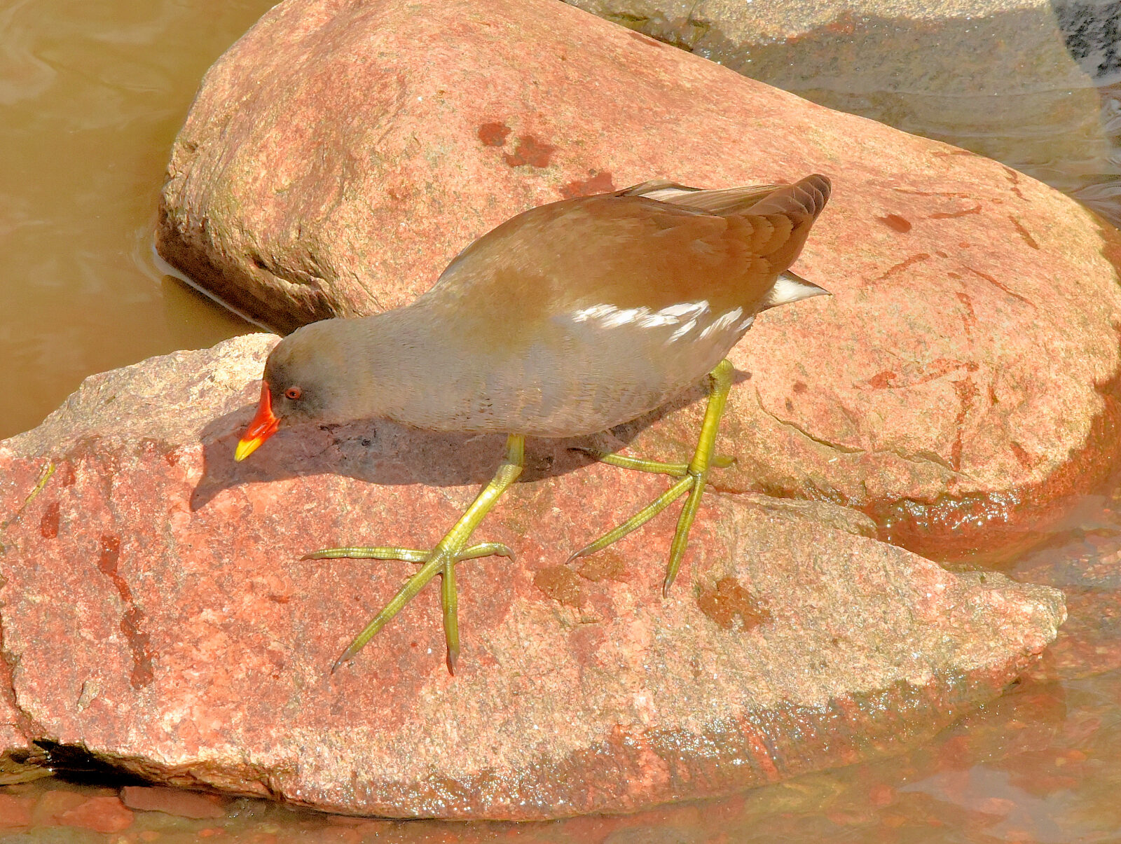 Valokuvaaja: Reijo Juurinen