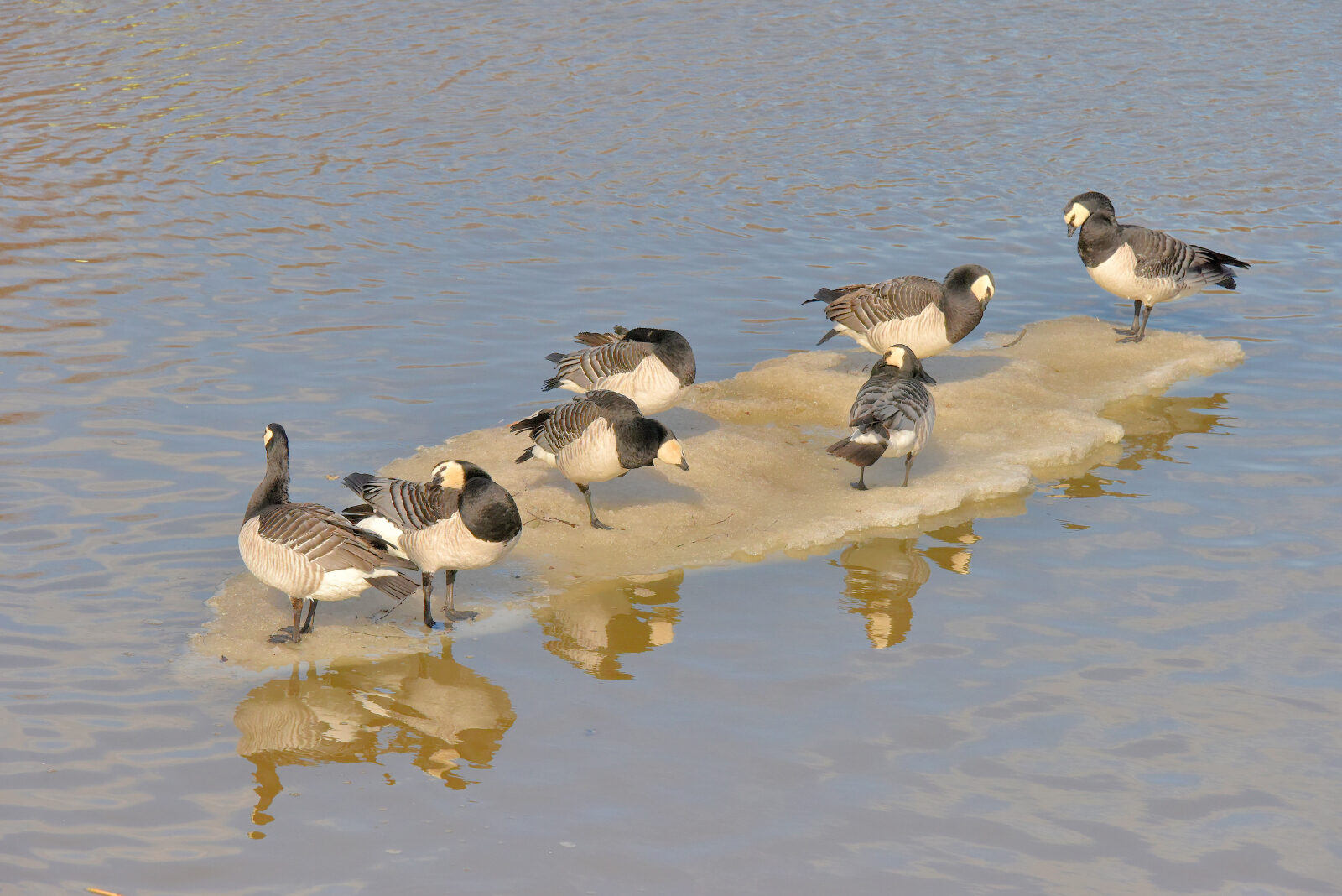 Valokuvaaja: Reijo Juurinen