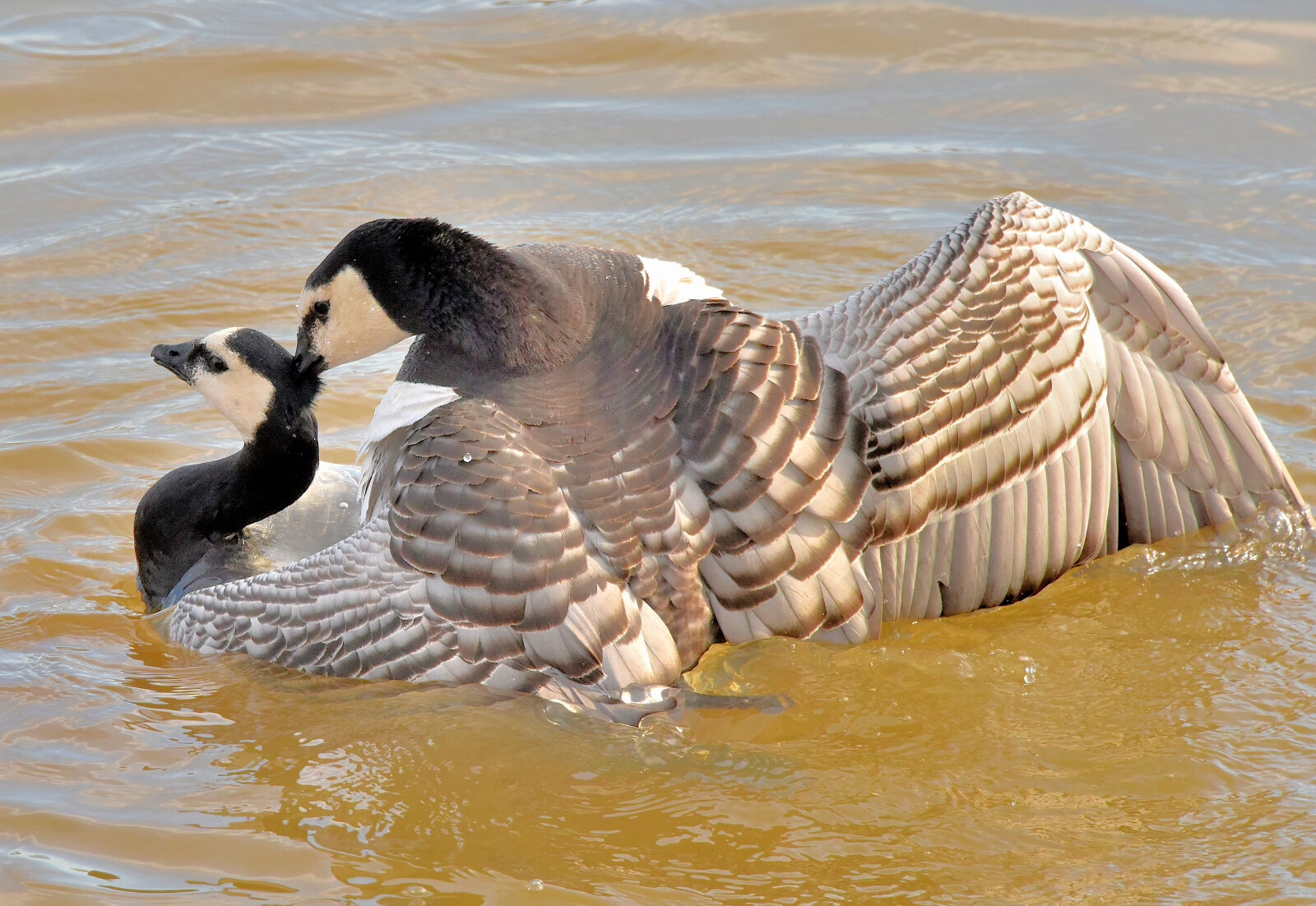 Valokuvaaja: Reijo Juurinen