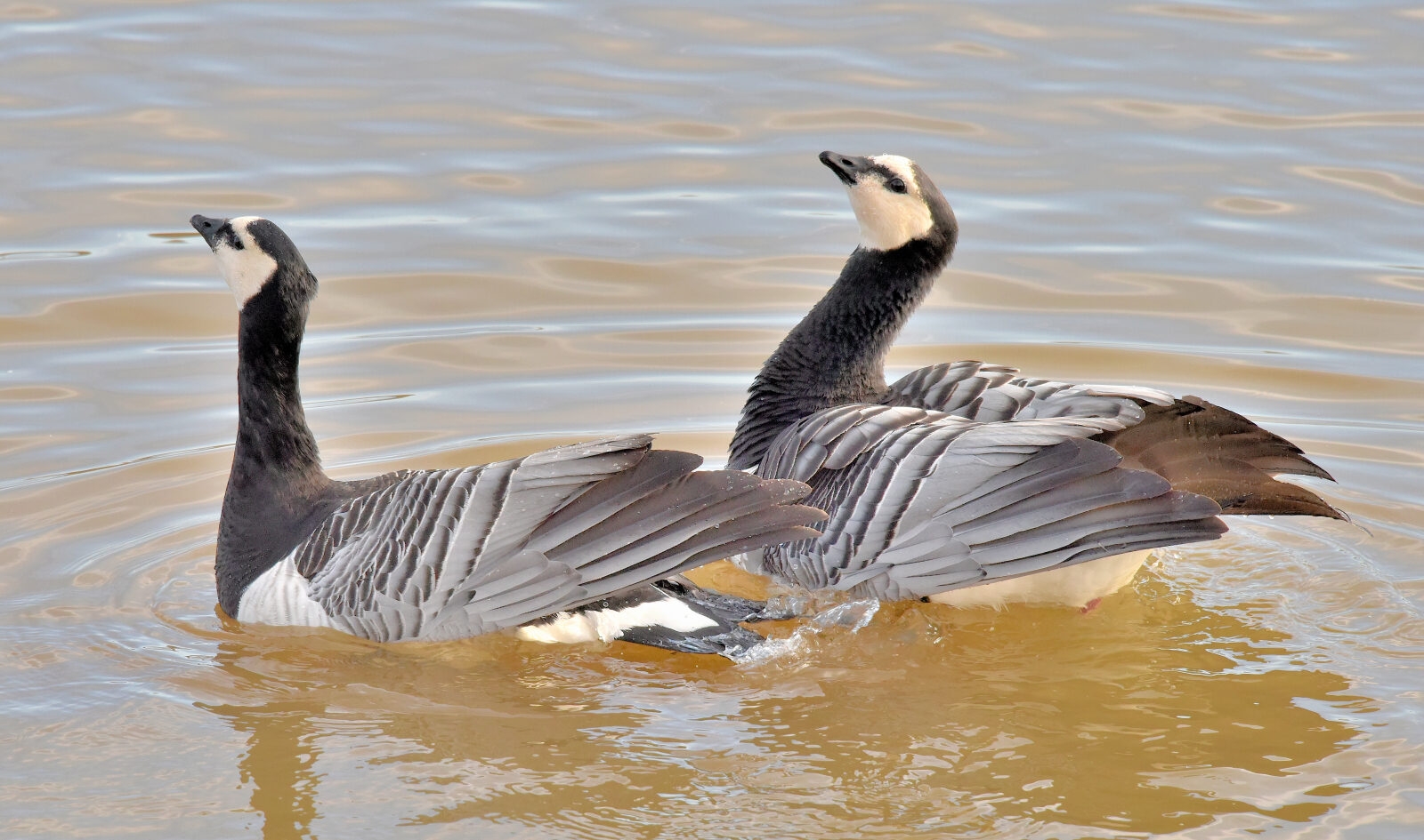 Valokuvaaja: Reijo Juurinen