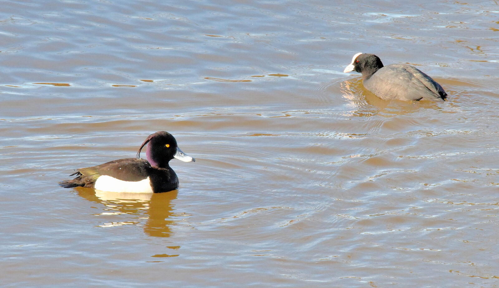 Valokuvaaja: Reijo Juurinen