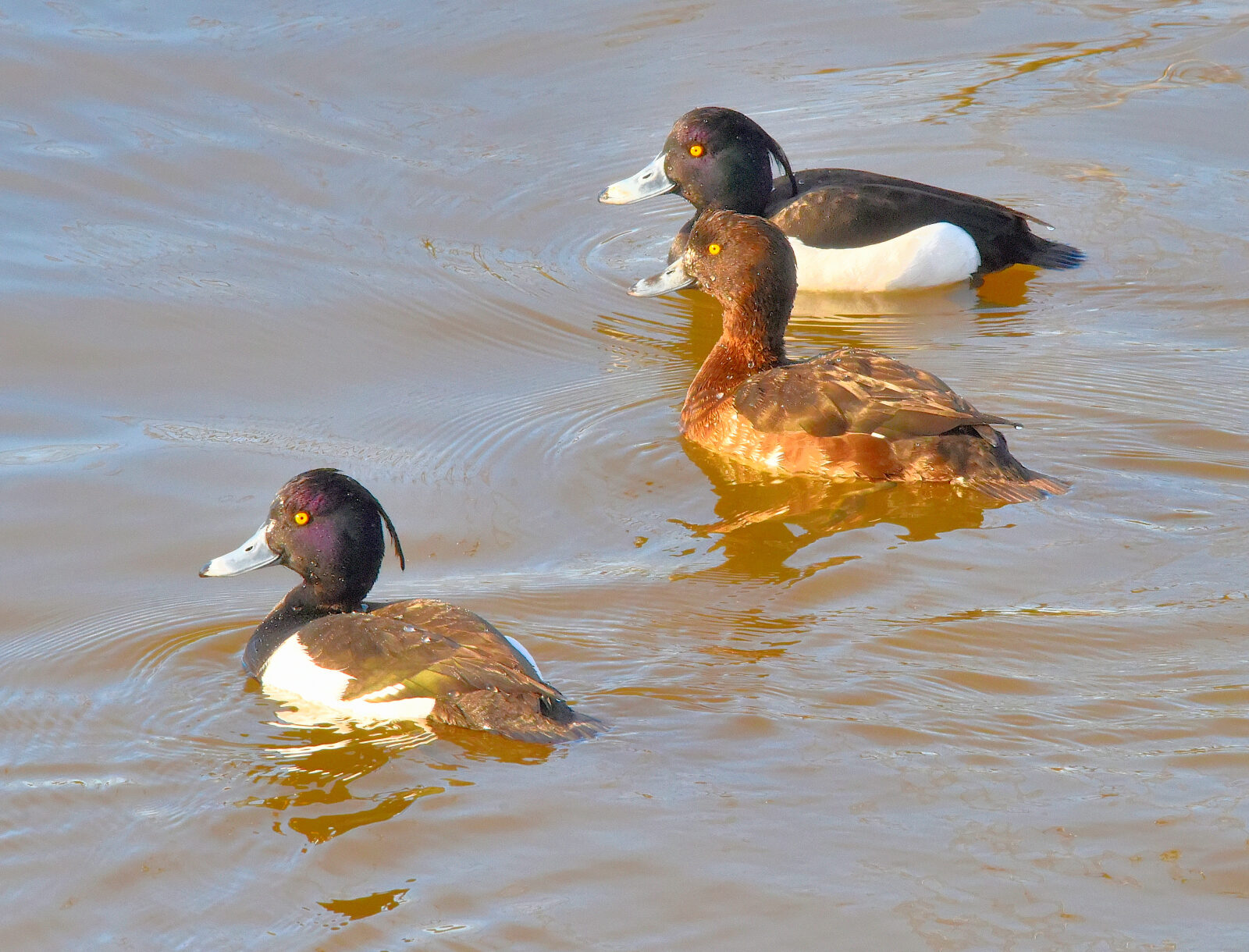 Valokuvaaja: Reijo Juurinen