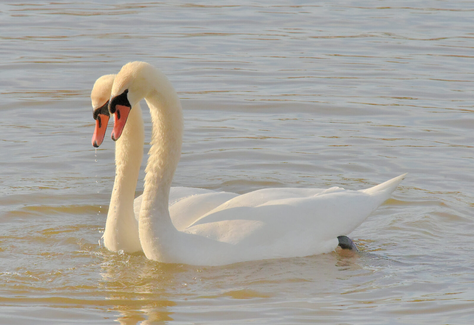 Valokuvaaja: Reijo Juurinen