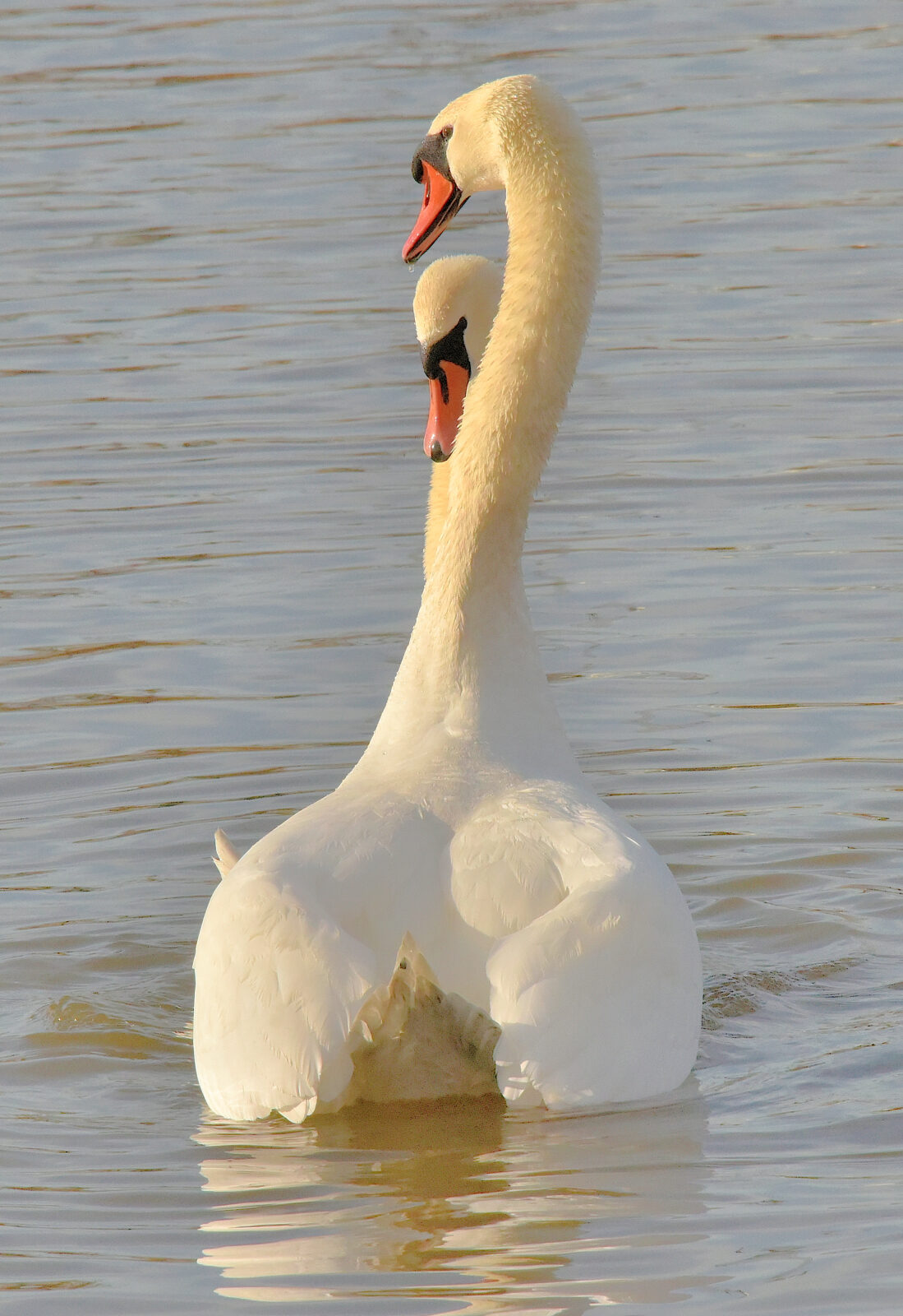 Valokuvaaja: Reijo Juurinen
