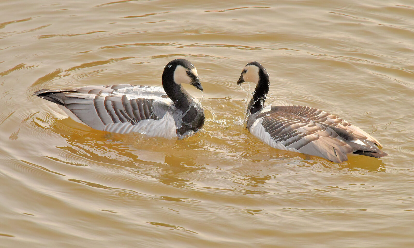 Valokuvaaja: Reijo Juurinen