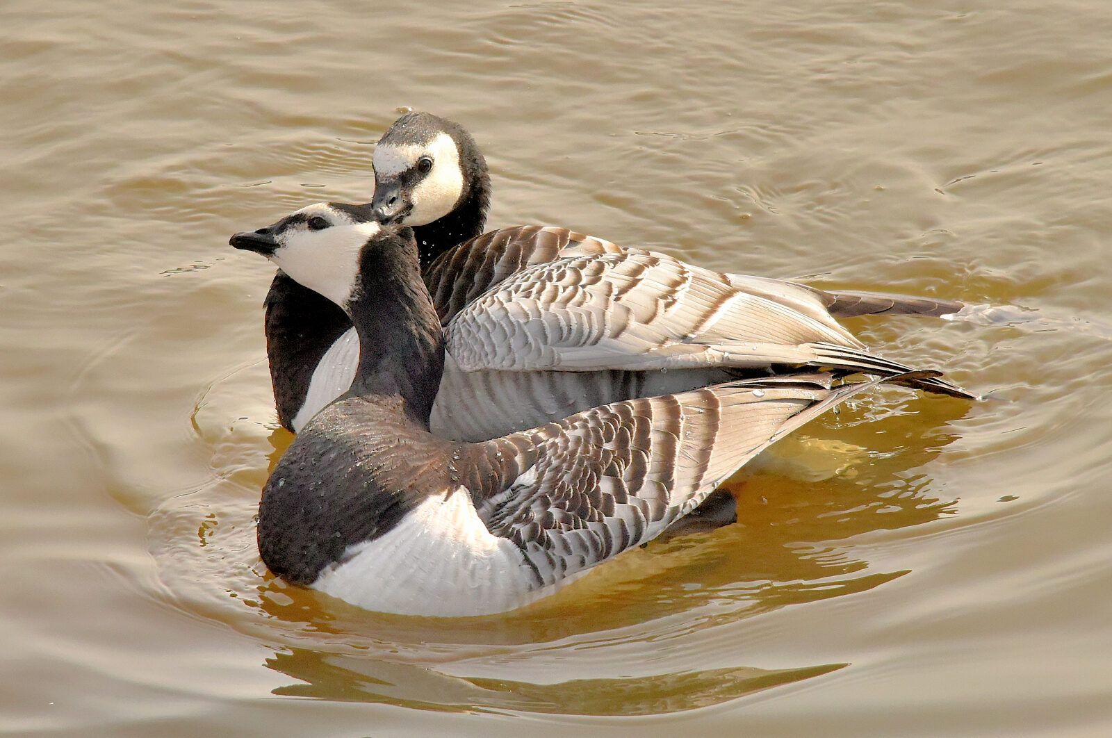 Valokuvaaja: Reijo Juurinen