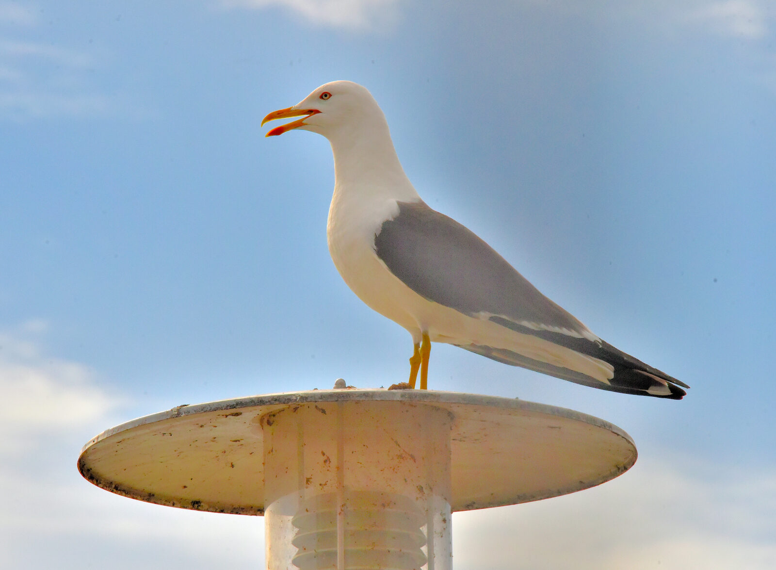 Valokuvaaja: Reijo Juurinen