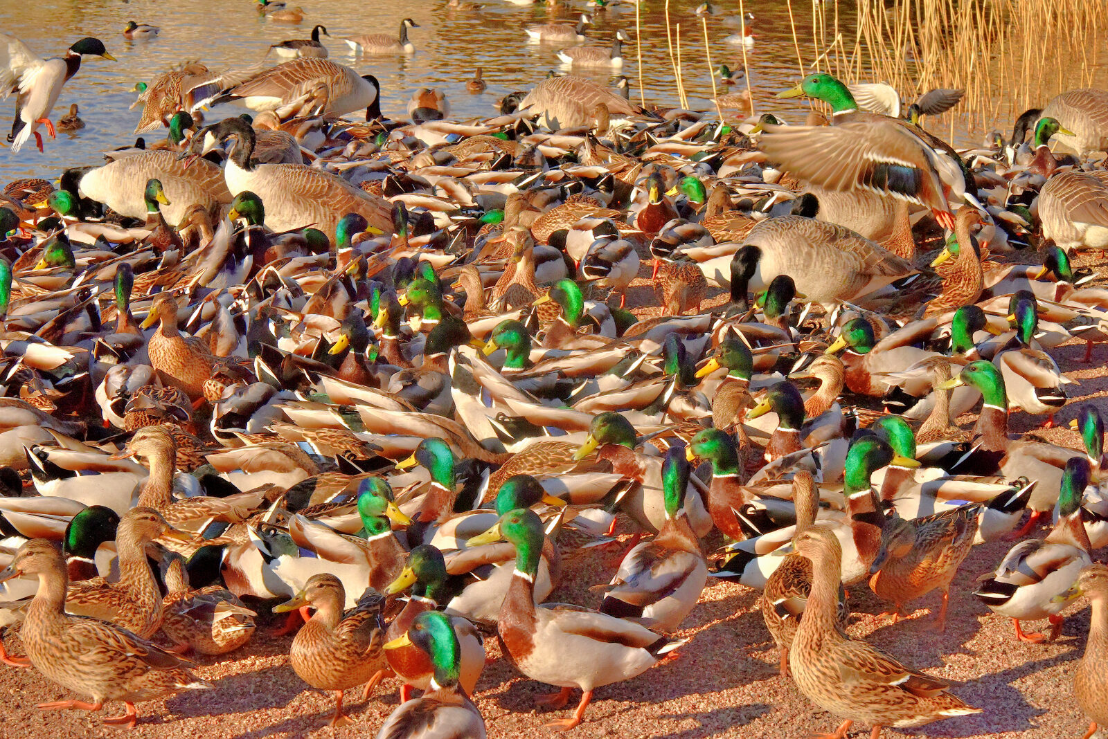 Valokuvaaja: Reijo Juurinen