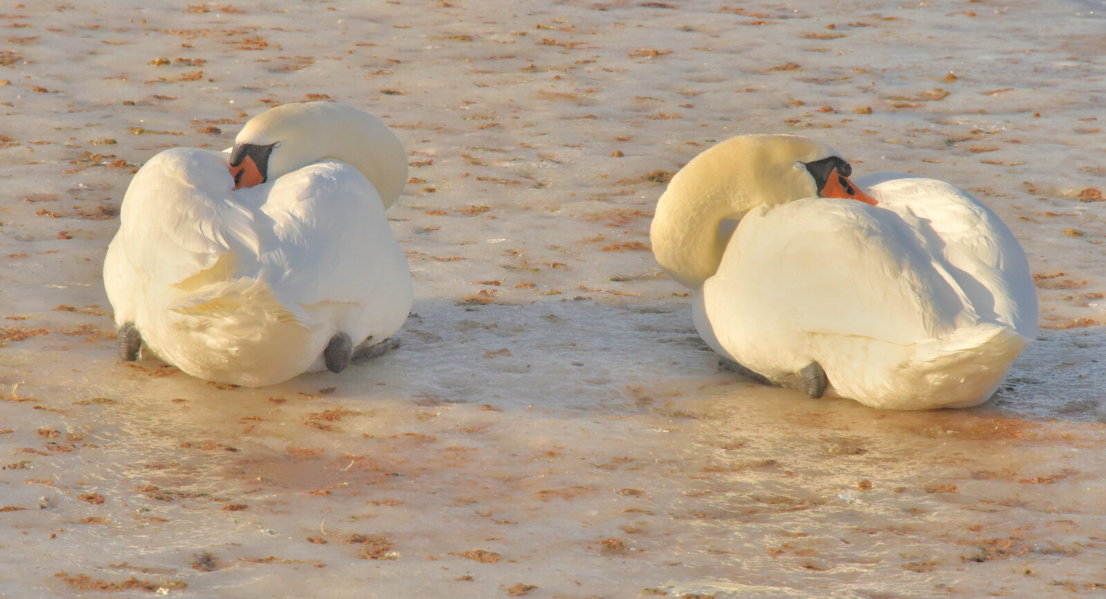 Valokuvaaja: Reijo Juurinen