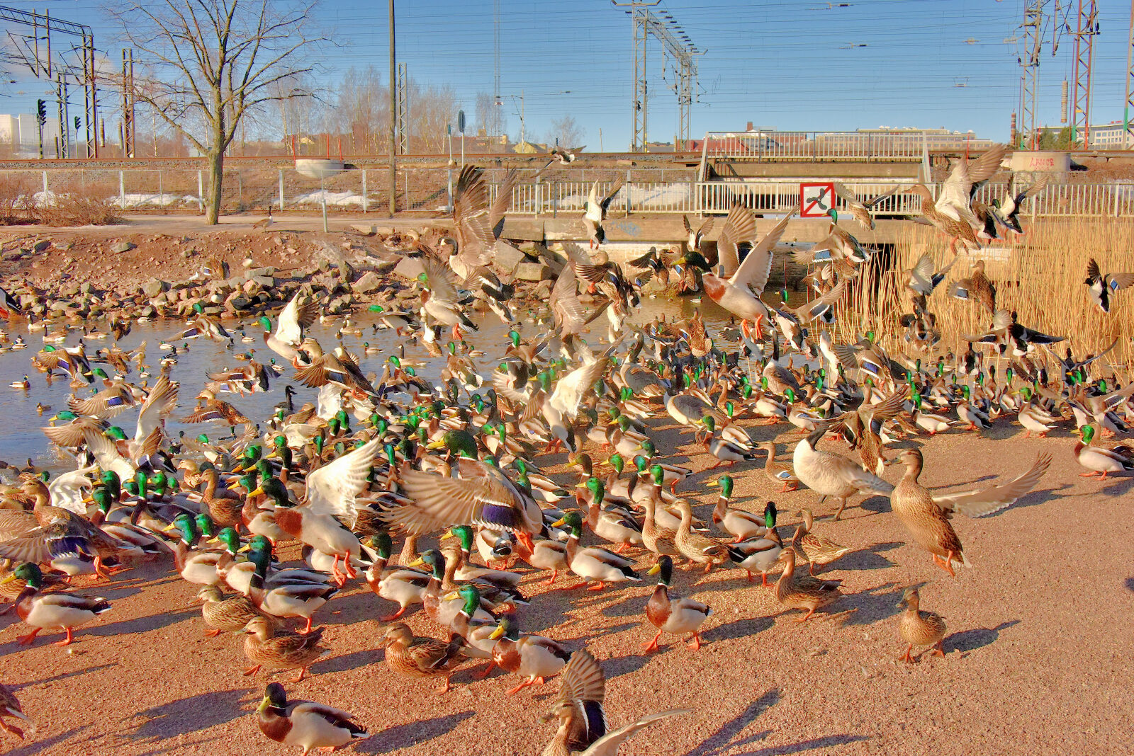 Valokuvaaja: Reijo Juurinen